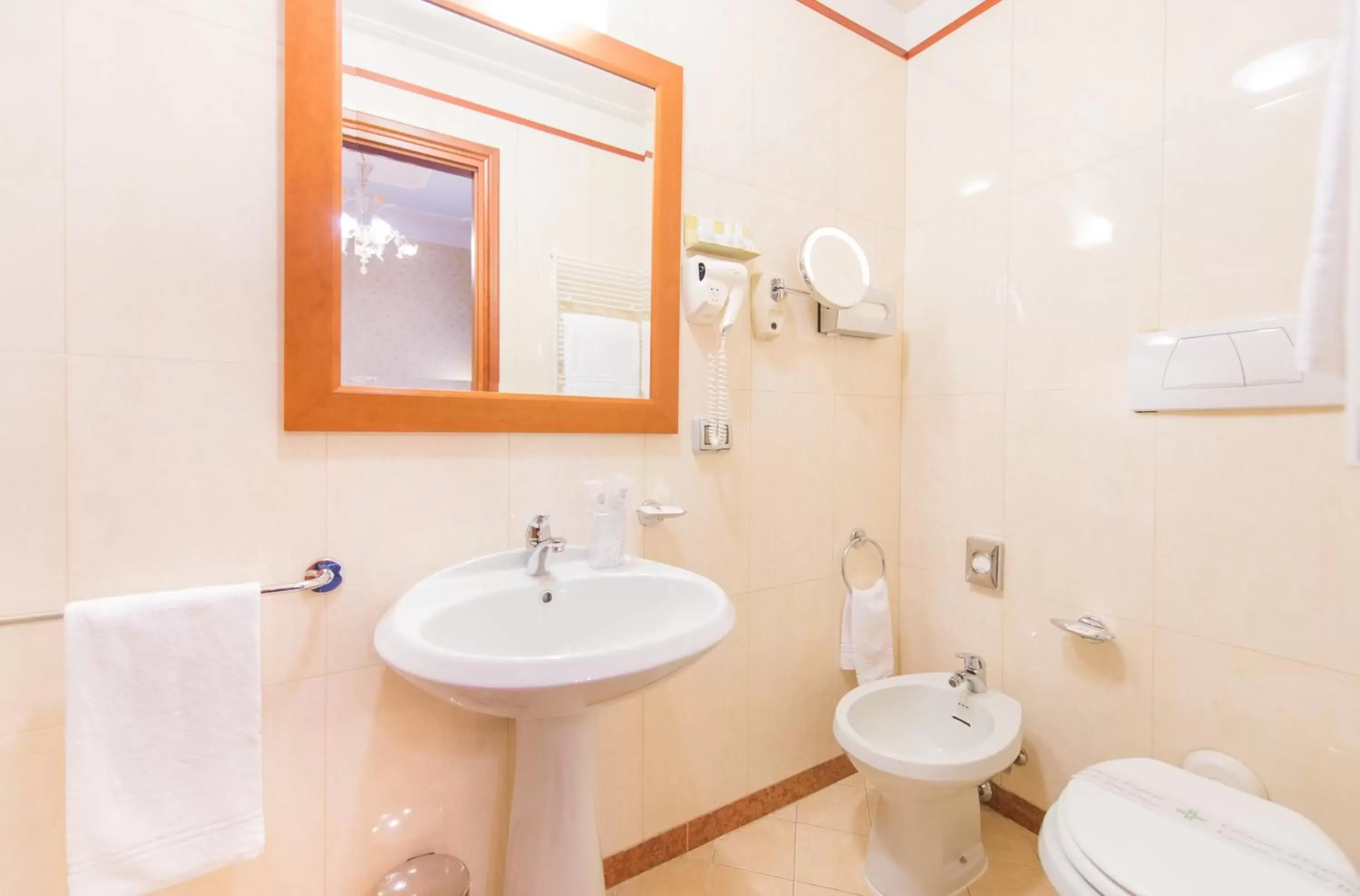 Economy Double Room in Diana Park Hotel Economy Double Room in Diana Park Hotel