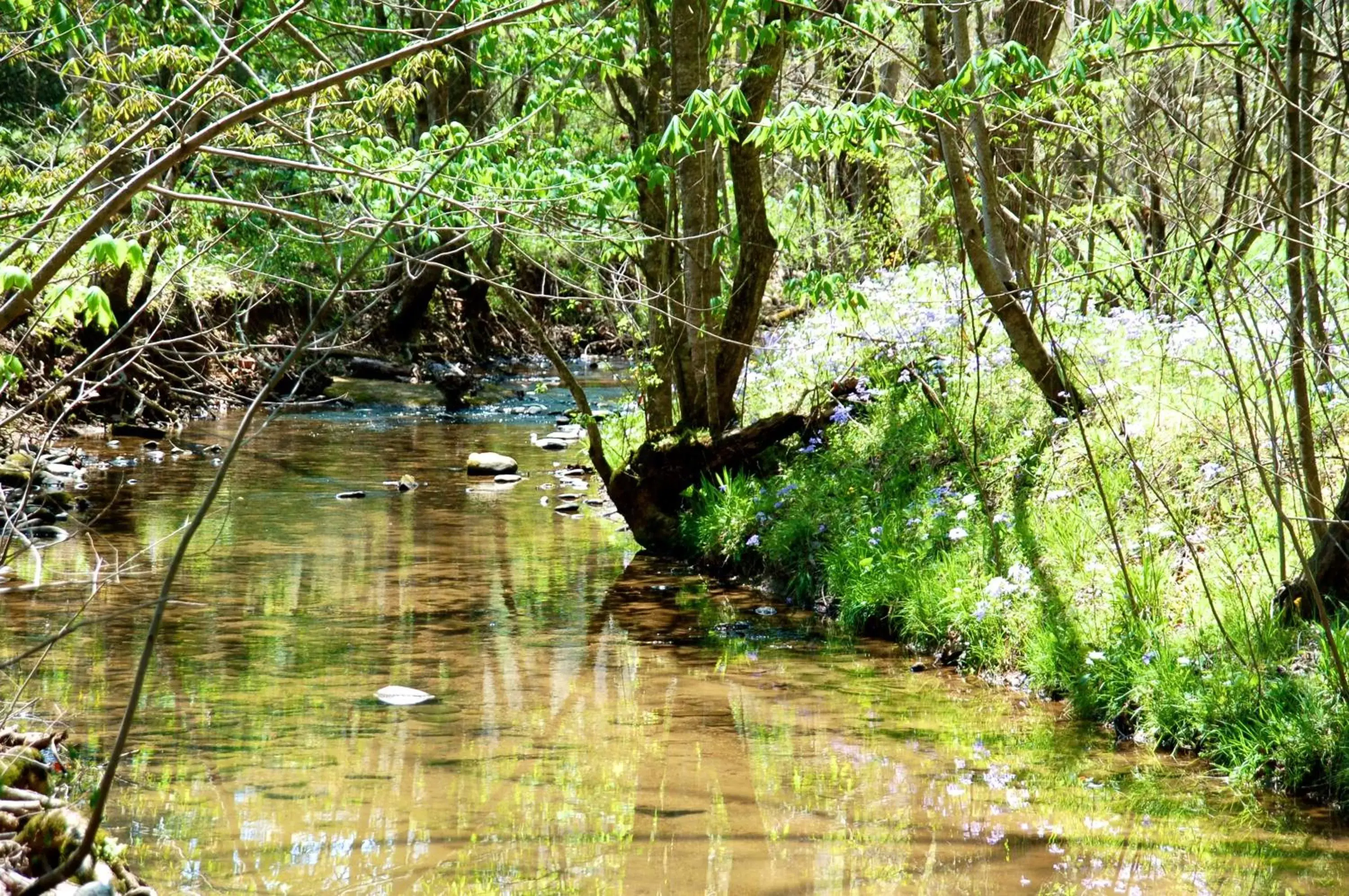 Queen Room in Creekwalk Inn Bed and Breakfast with Cabins Queen Room in Creekwalk Inn Bed and Breakfast with Cabins