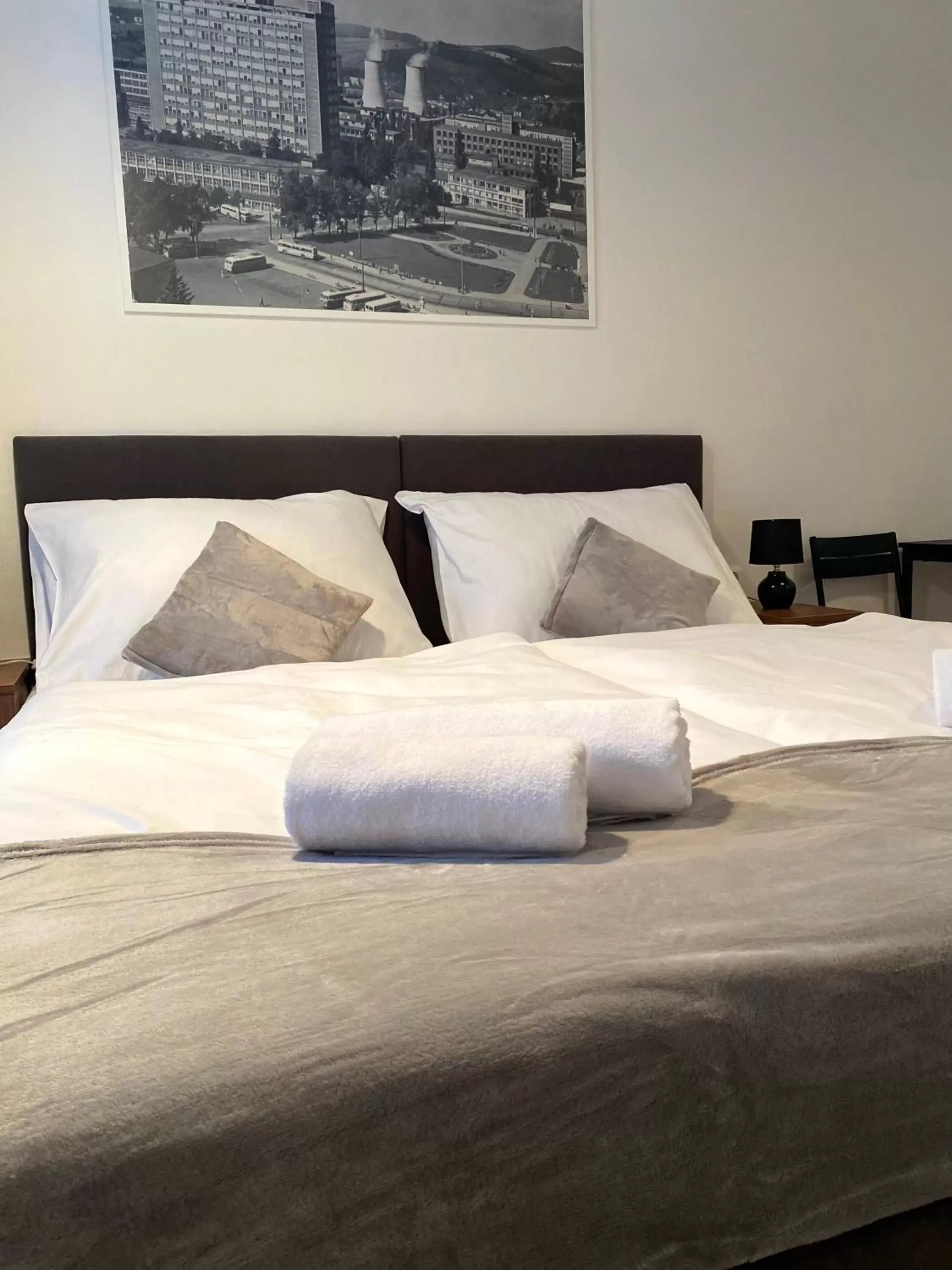 Deluxe Double Room - single occupancy in Hotel U Ševce Deluxe Double Room - single occupancy in Hotel U Ševce