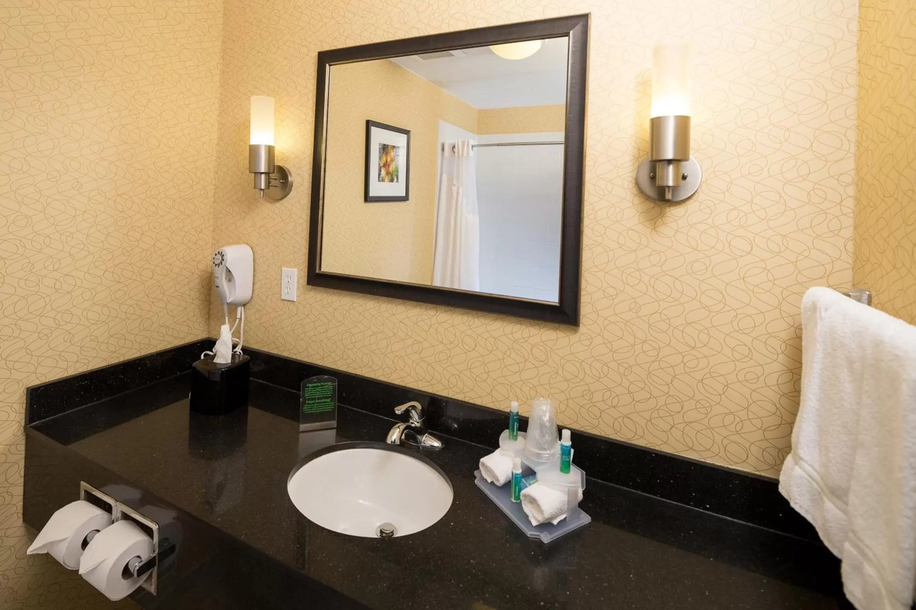 Standard Room with Two Queen Beds in Holiday Inn Express and Suites Detroit North-Troy by IHG Standard Room with Two Queen Beds in Holiday Inn Express and Suites Detroit North-Troy by IHG