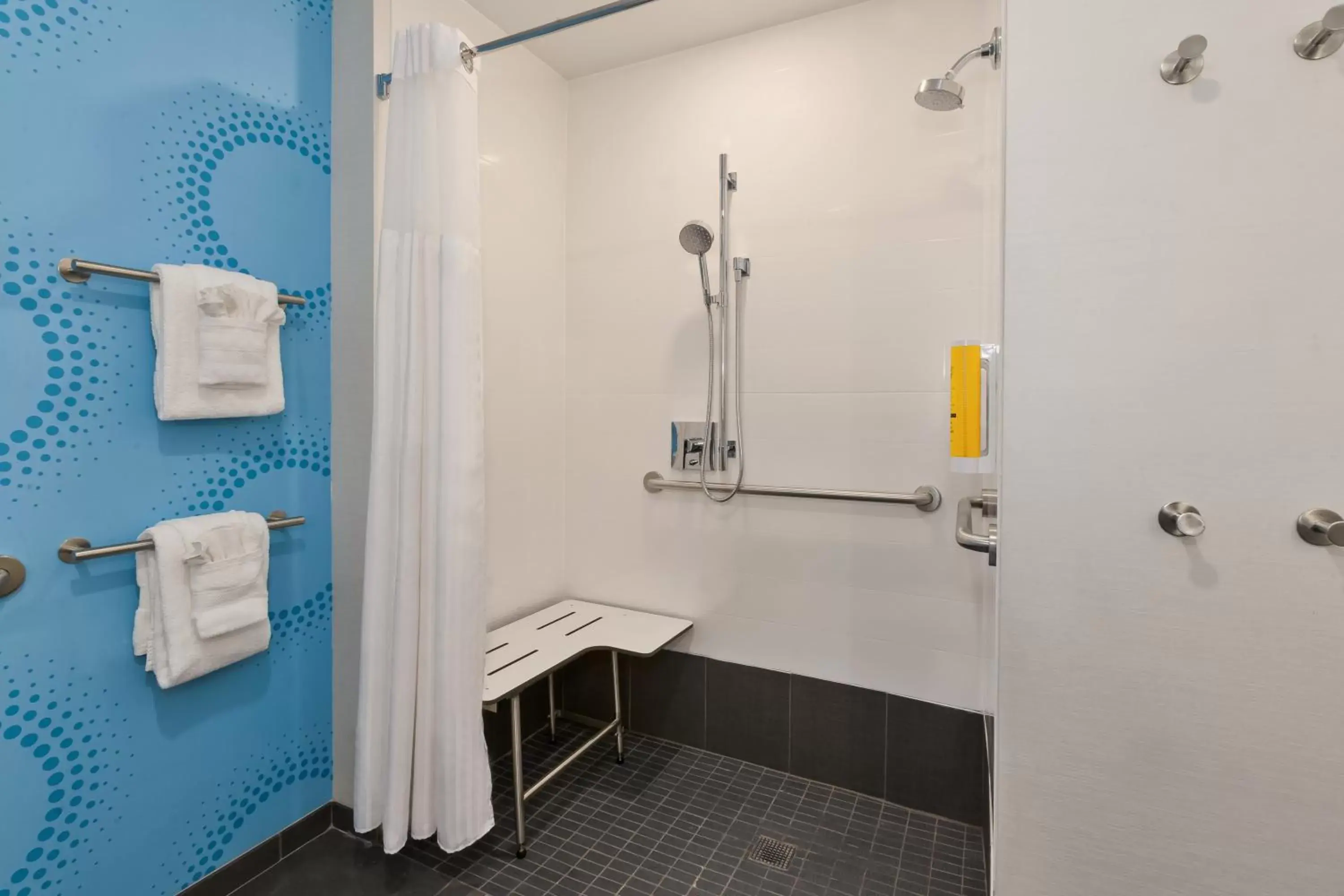 Queen Room - Mobility Accessible with Roll In Shower in Tru By Hilton Comstock Park Grand Rapids, MI Queen Room - Mobility Accessible with Roll In Shower in Tru By Hilton Comstock Park Grand Rapids, MI