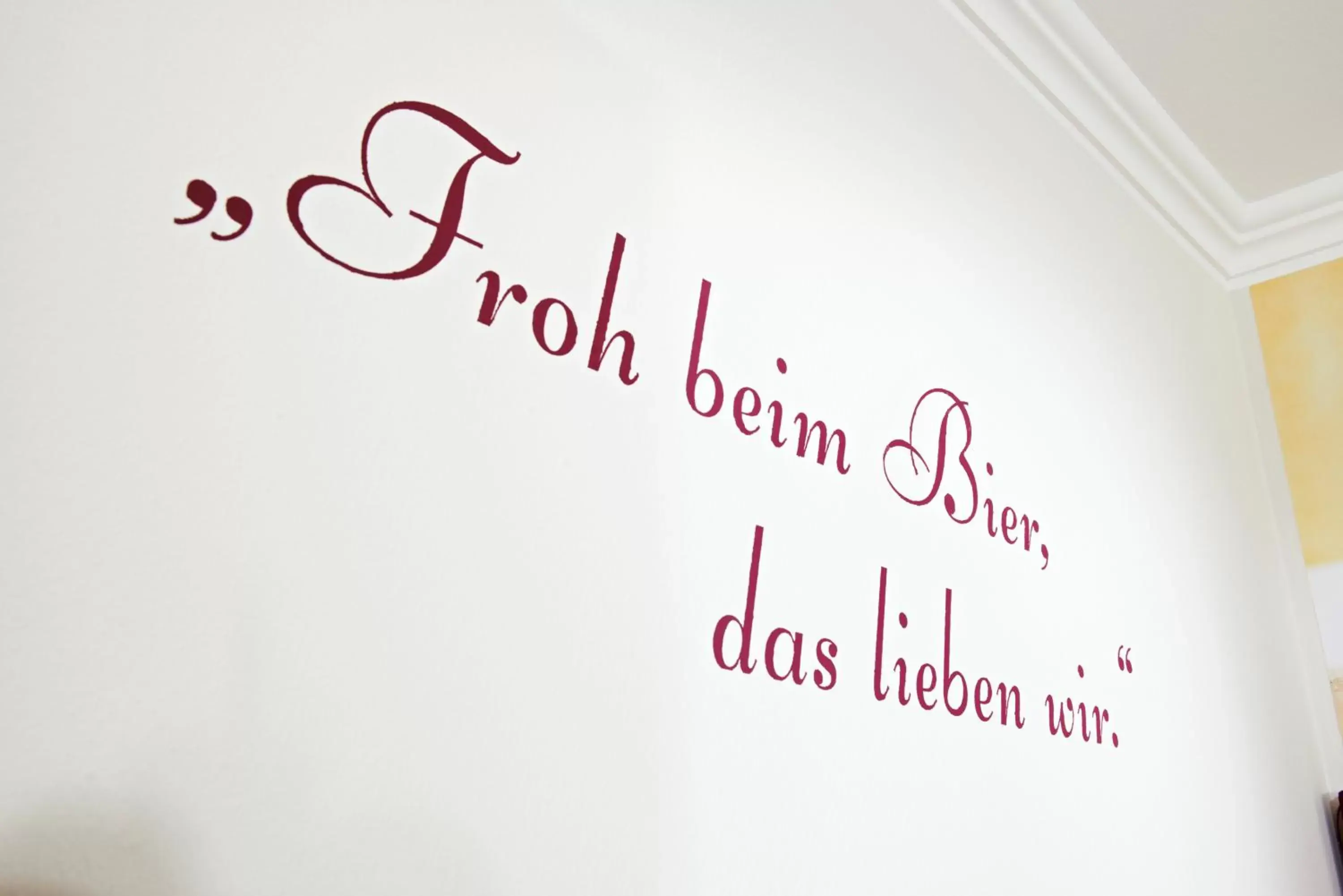 Premium Single Room in Biergasthof Riedberg Premium Single Room in Biergasthof Riedberg