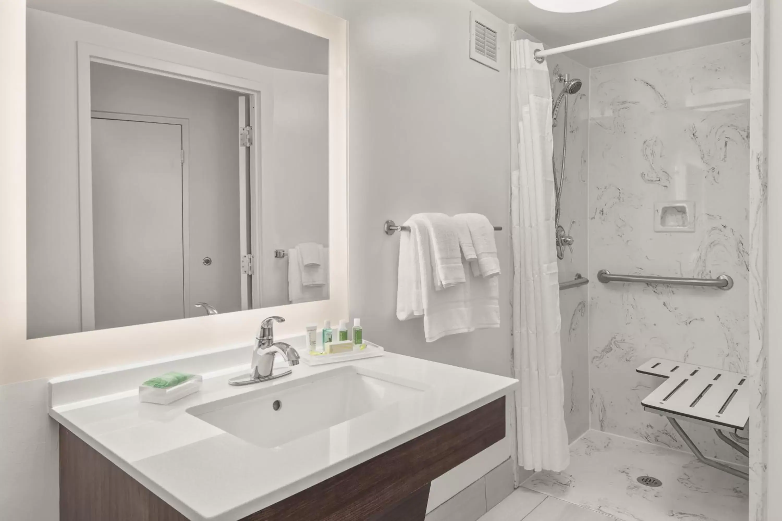 Double Room with Roll In Shower - Disability Access/Non-Smoking in Holiday Inn Charleston-Riverview, an IHG Hotel Double Room with Roll In Shower - Disability Access/Non-Smoking in Holiday Inn Charleston-Riverview, an IHG Hotel