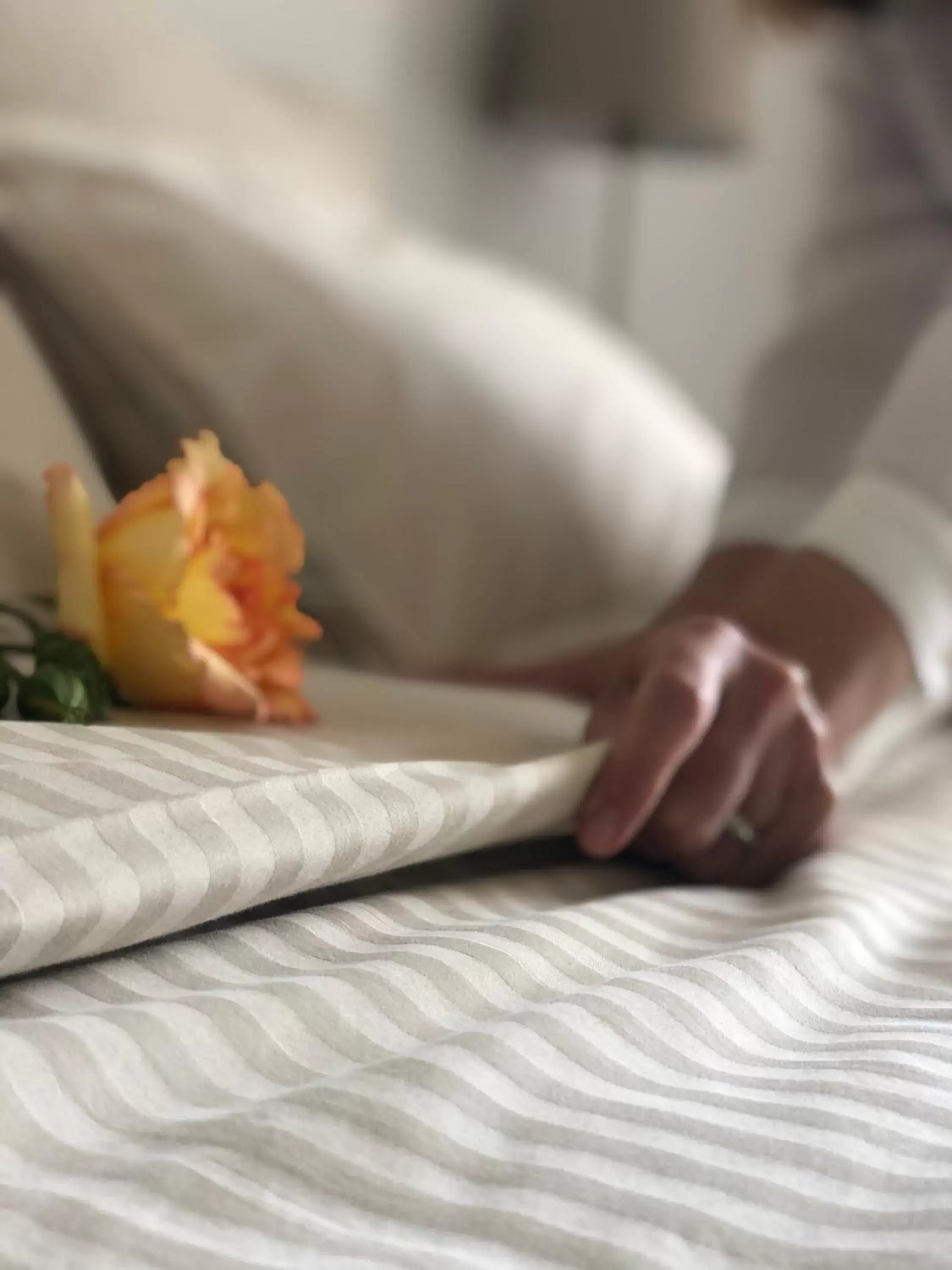 Maison Tassigny Maison Tassigny