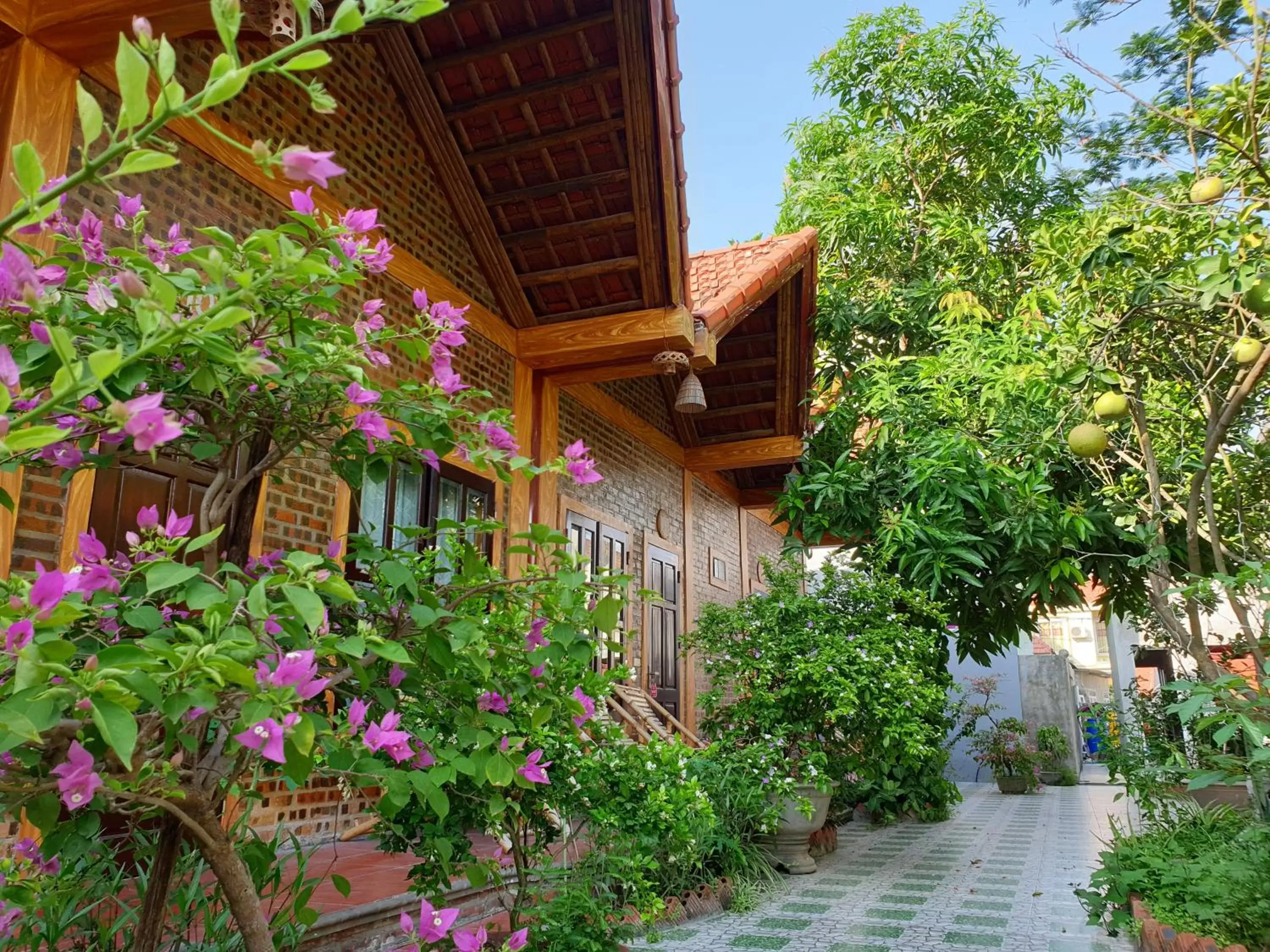 Tam Coc Vinh Thinh Homestay Tam Coc Vinh Thinh Homestay