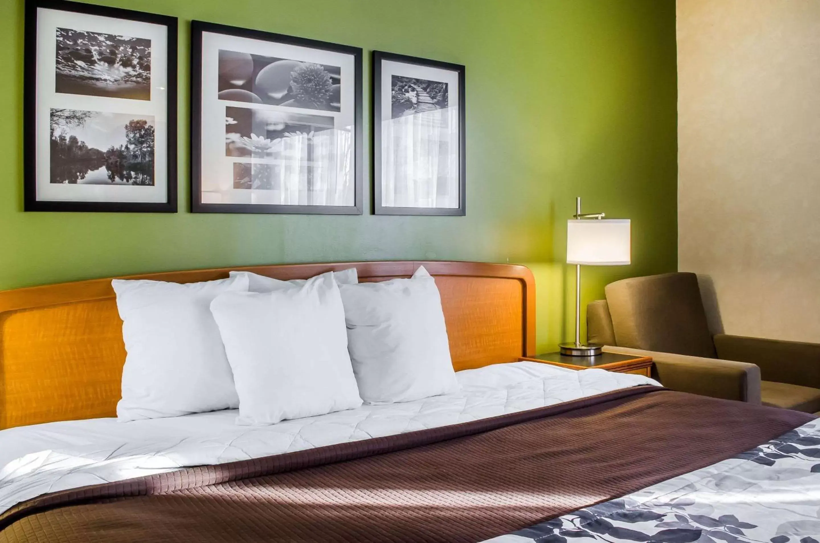 King Room - Non-Smoking in Sleep Inn & Suites Bensalem King Room - Non-Smoking in Sleep Inn & Suites Bensalem