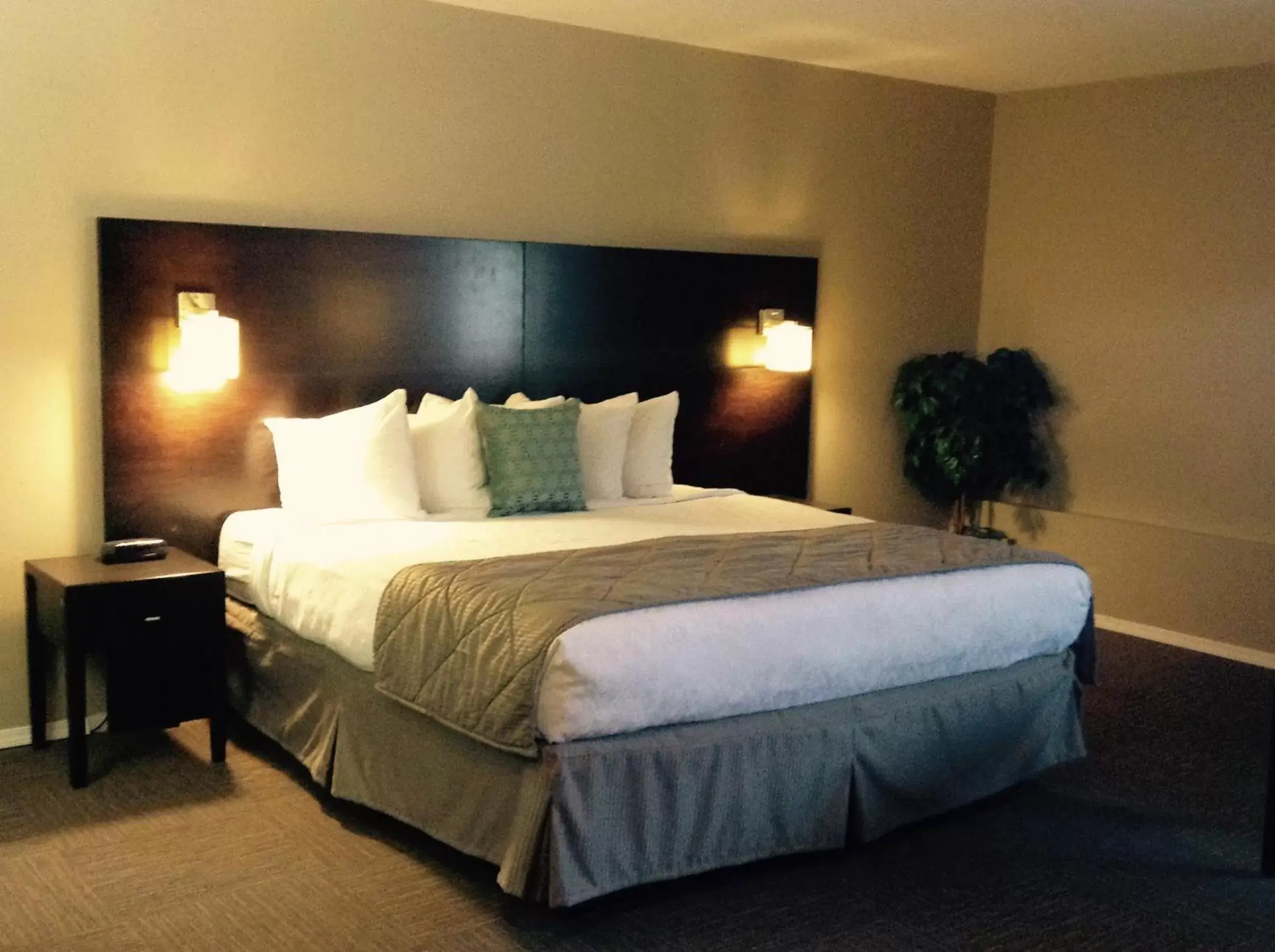 Queen Studio with Two Queen Beds - Non-Smoking in Super 8 by Wyndham West Kelowna BC Queen Studio with Two Queen Beds - Non-Smoking in Super 8 by Wyndham West Kelowna BC