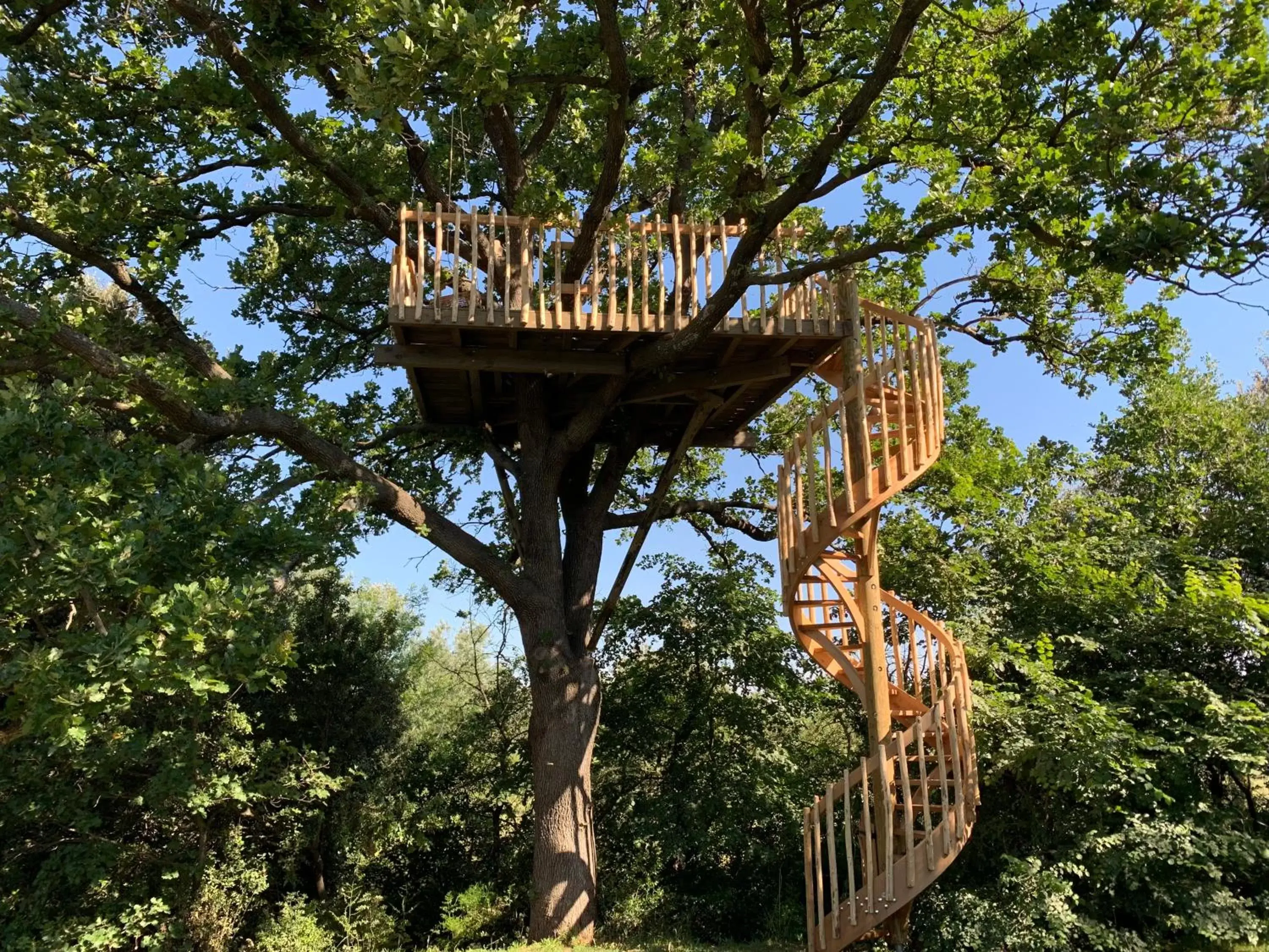 Garden in Mas Notre Dame Garden in Mas Notre Dame