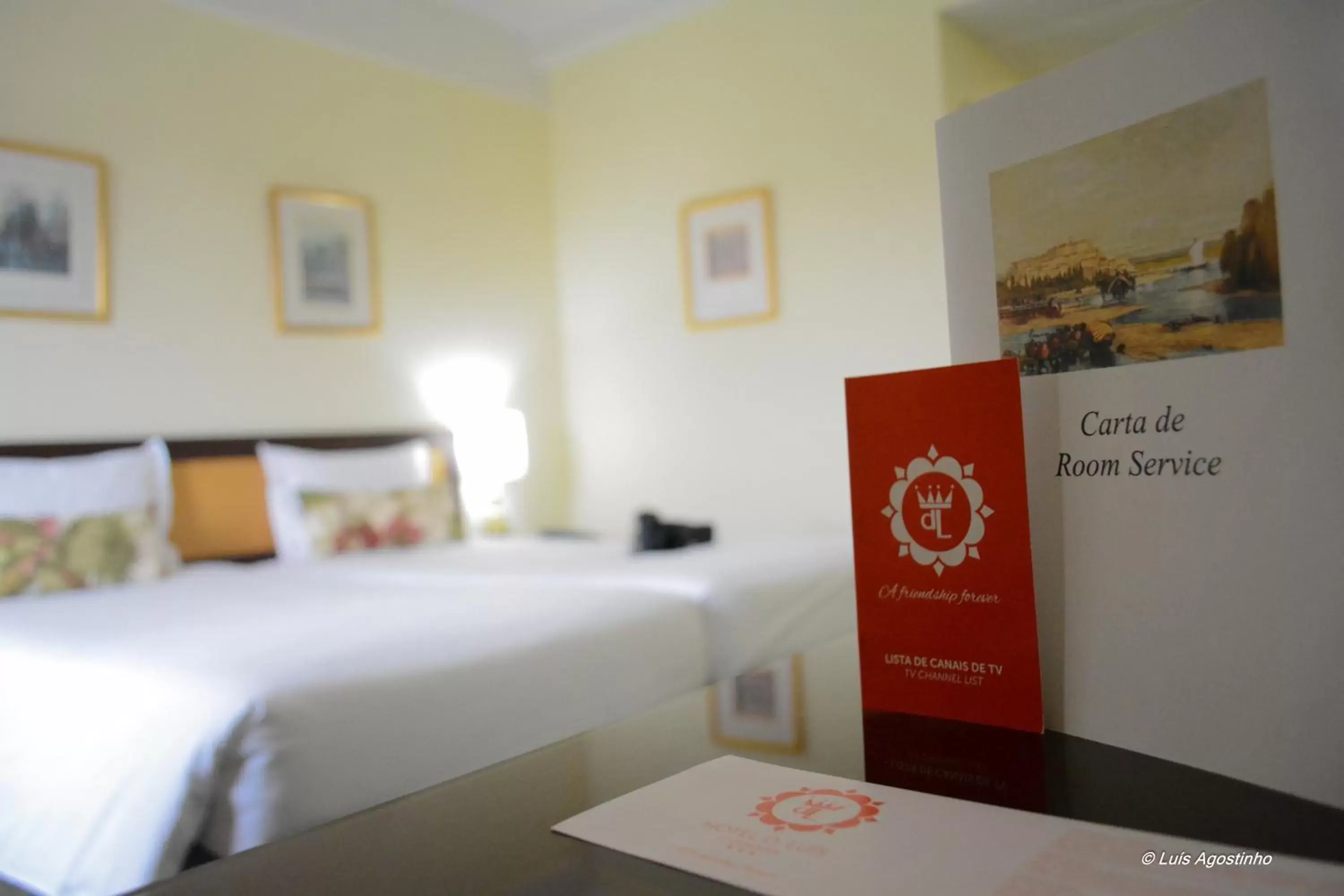 Double or Twin Room with Terrace and City View in Hotel D. Luis Double or Twin Room with Terrace and City View in Hotel D. Luis