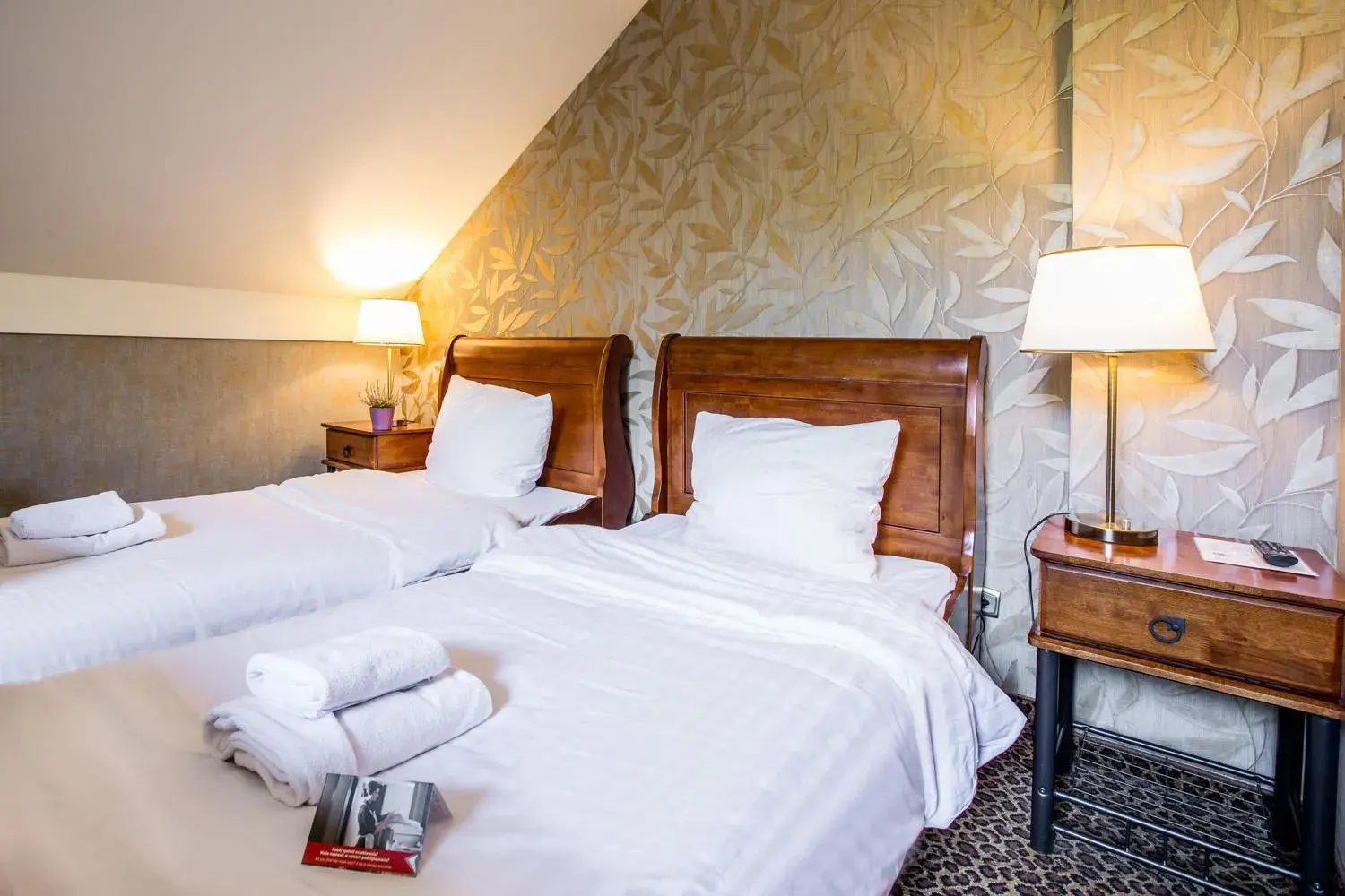 Executive Double Room in Hotel Diament Vacanza Katowice - Siemianowice Executive Double Room in Hotel Diament Vacanza Katowice - Siemianowice