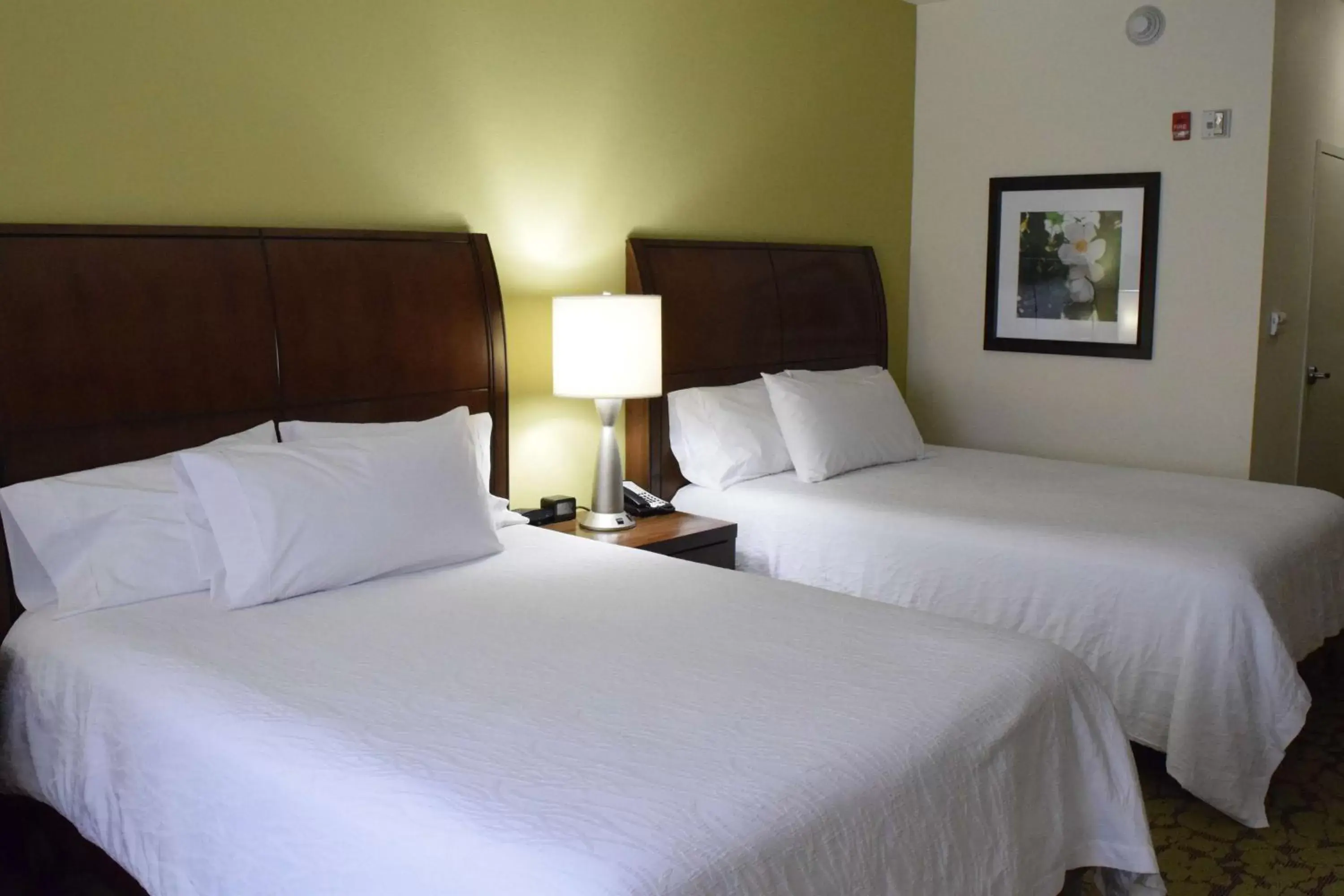 Queen Room with Two Queen Beds - Hearing Access in Hilton Garden Inn Rochester Downtown, NY Queen Room with Two Queen Beds - Hearing Access in Hilton Garden Inn Rochester Downtown, NY