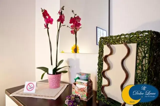 Dolce Lecce B&B Dolce Lecce B&B