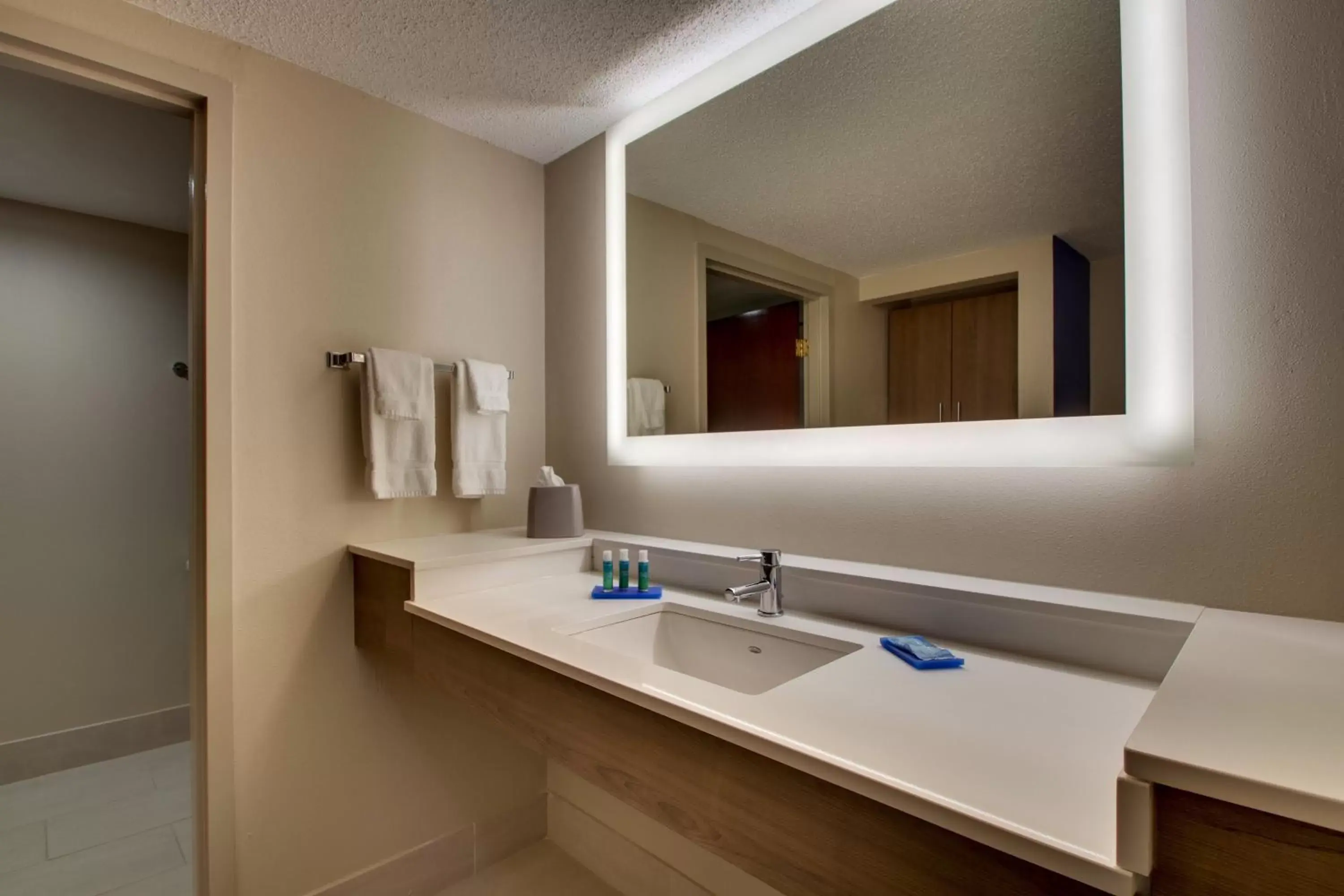 Standard King Room with Mobility Accessible Tub in Holiday Inn Express - Horse Cave by IHG Standard King Room with Mobility Accessible Tub in Holiday Inn Express - Horse Cave by IHG