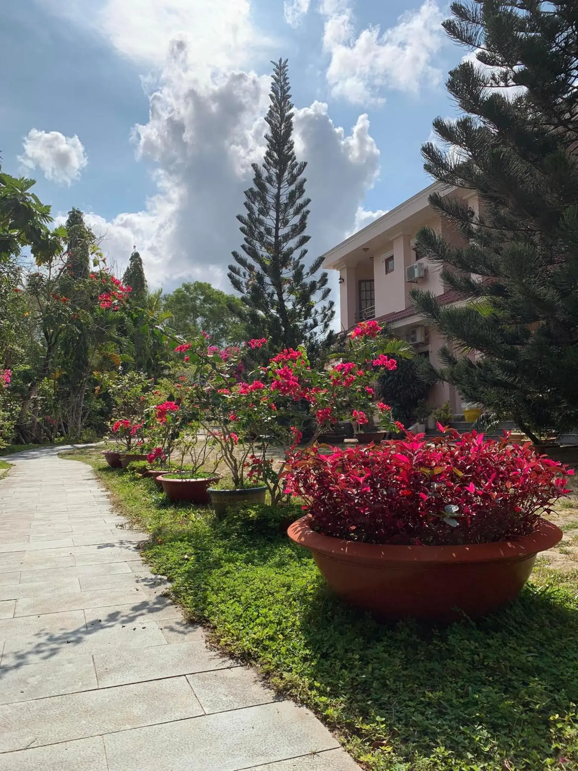 Double Room with Garden View in Hiep Thanh Resort Double Room with Garden View in Hiep Thanh Resort