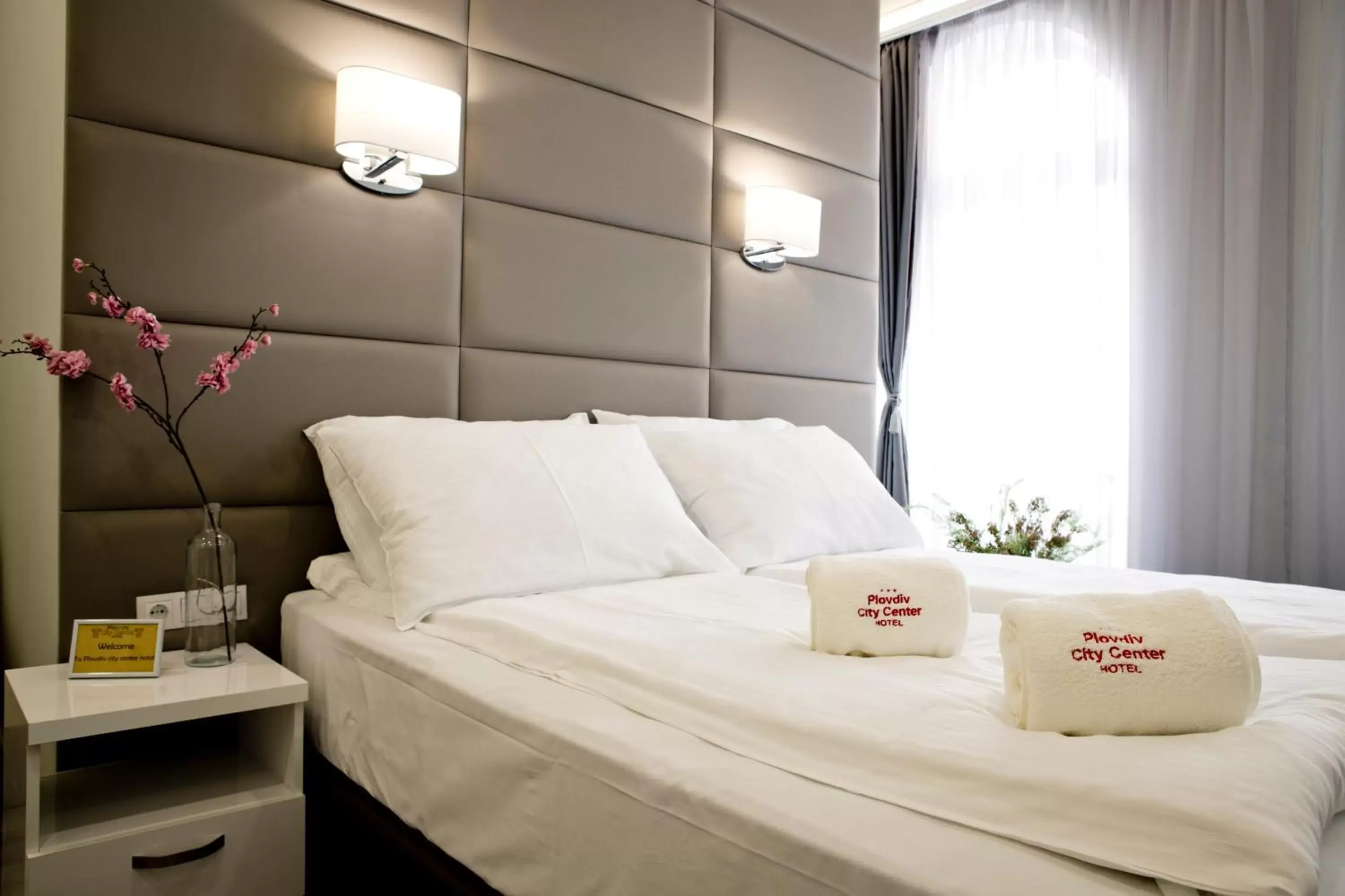 Deluxe Double or Twin Room in Plovdiv City Center Hotel Deluxe Double or Twin Room in Plovdiv City Center Hotel