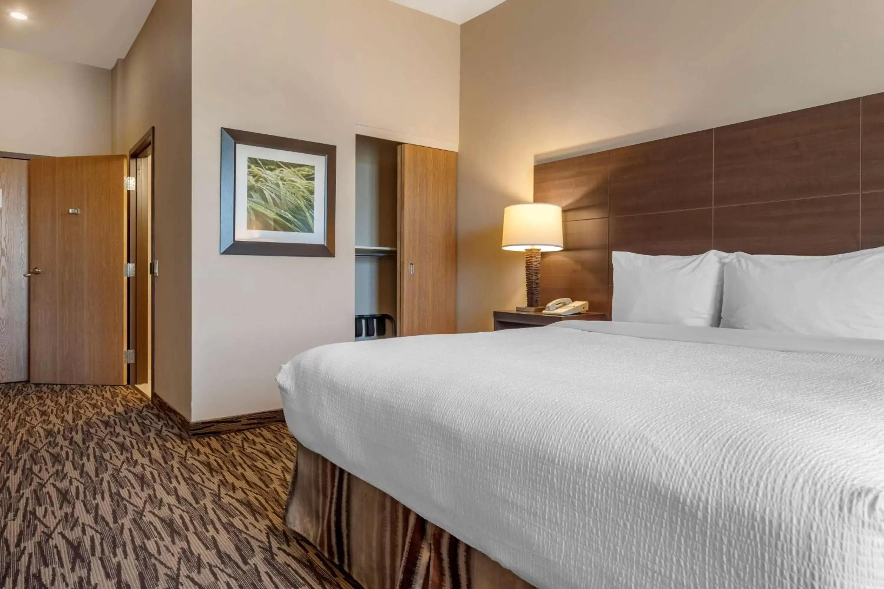 Business King Room in Best Western Plus Bridgewater Hotel & Convention Centre Business King Room in Best Western Plus Bridgewater Hotel & Convention Centre