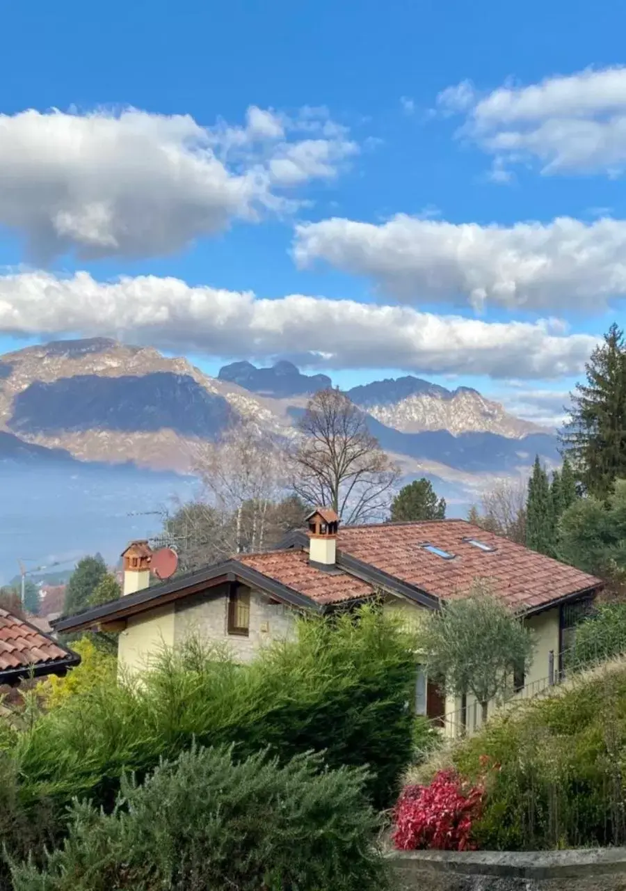 Neighbourhood in Villa Fiesta Neighbourhood in Villa Fiesta