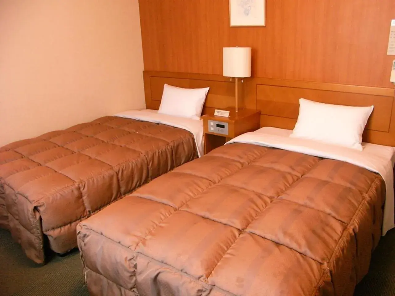 Comfort Twin Room - single occupancy - Non-Smoking in Hotel Route-Inn Aso Kumamoto Airport Ekimae Comfort Twin Room - single occupancy - Non-Smoking in Hotel Route-Inn Aso Kumamoto Airport Ekimae