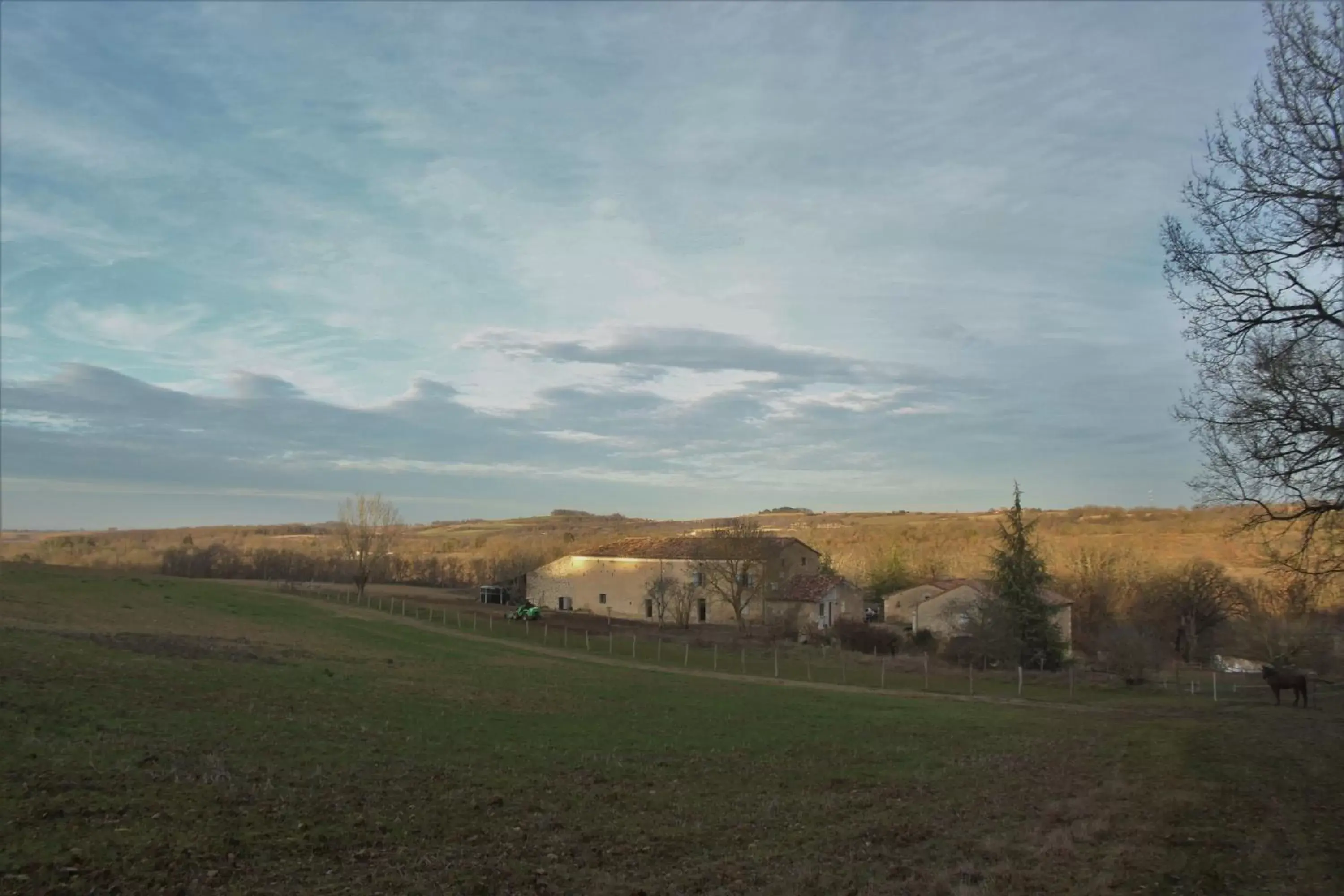 Domaine de la Couderquié Domaine de la Couderquié