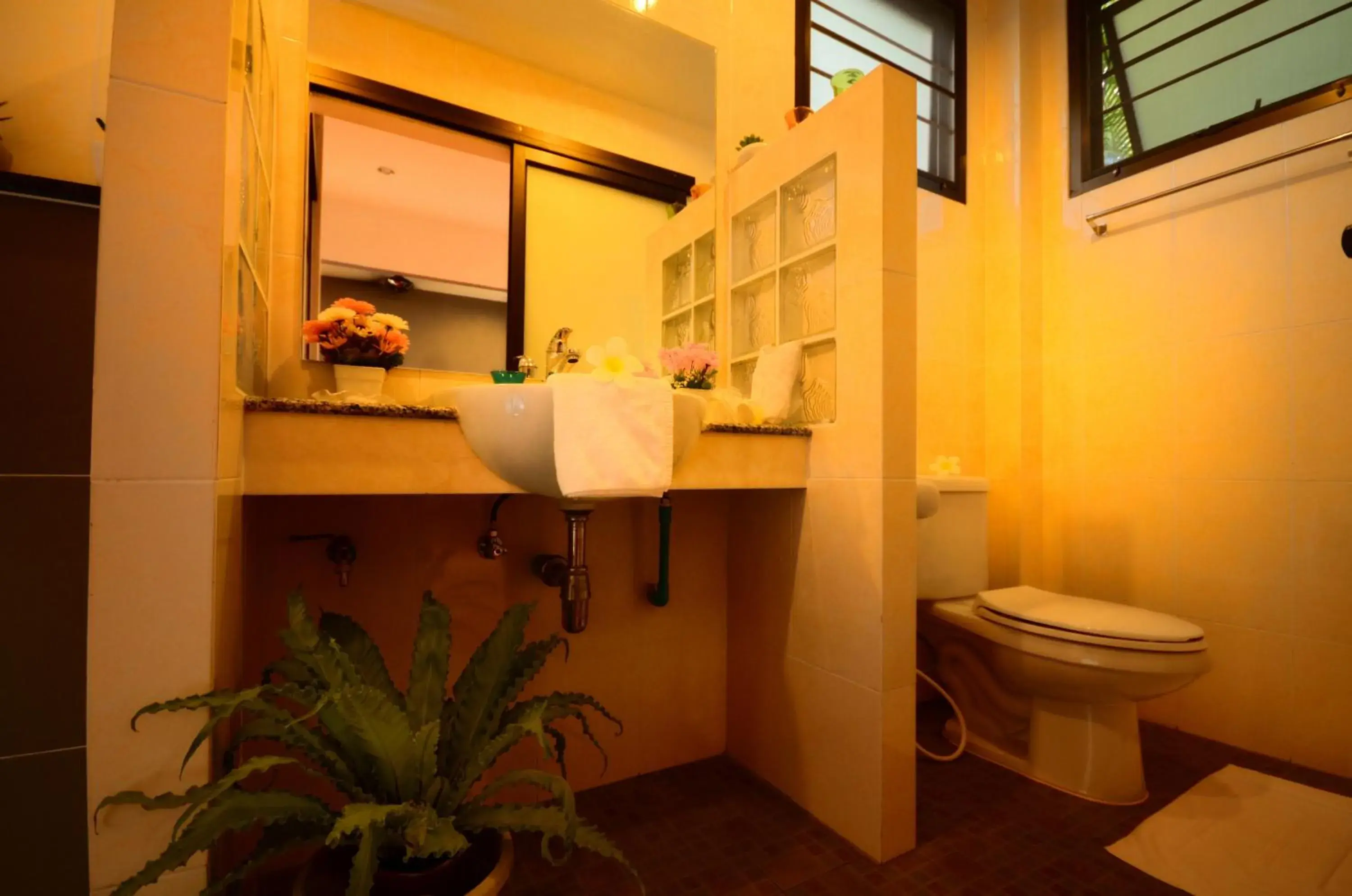 Deluxe Villa Double Bed in The Fusion Resort - SHA Extra Plus Deluxe Villa Double Bed in The Fusion Resort - SHA Extra Plus