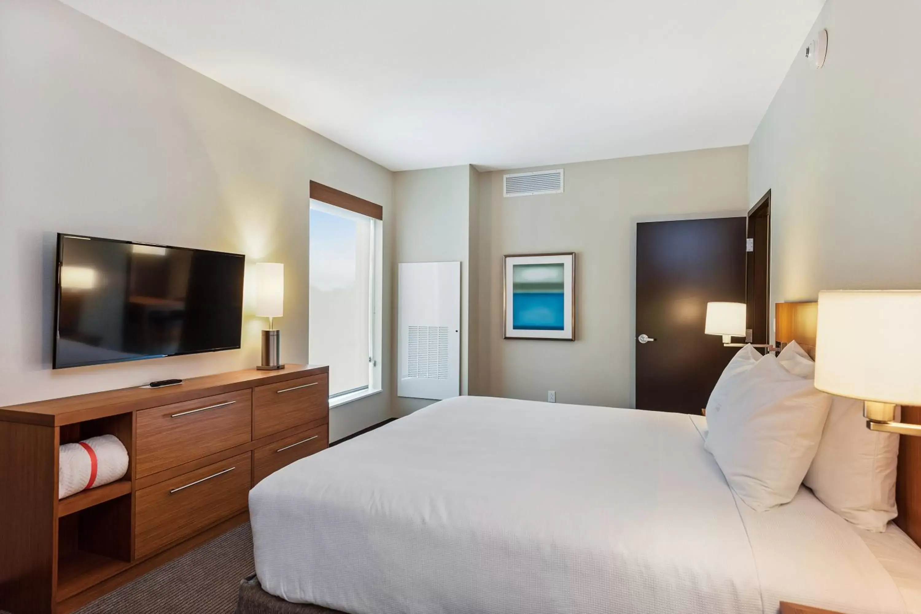 King Suite with Sofa Bed and Tub - Disability Access in Hyatt Place Tampa/Wesley Chapel King Suite with Sofa Bed and Tub - Disability Access in Hyatt Place Tampa/Wesley Chapel