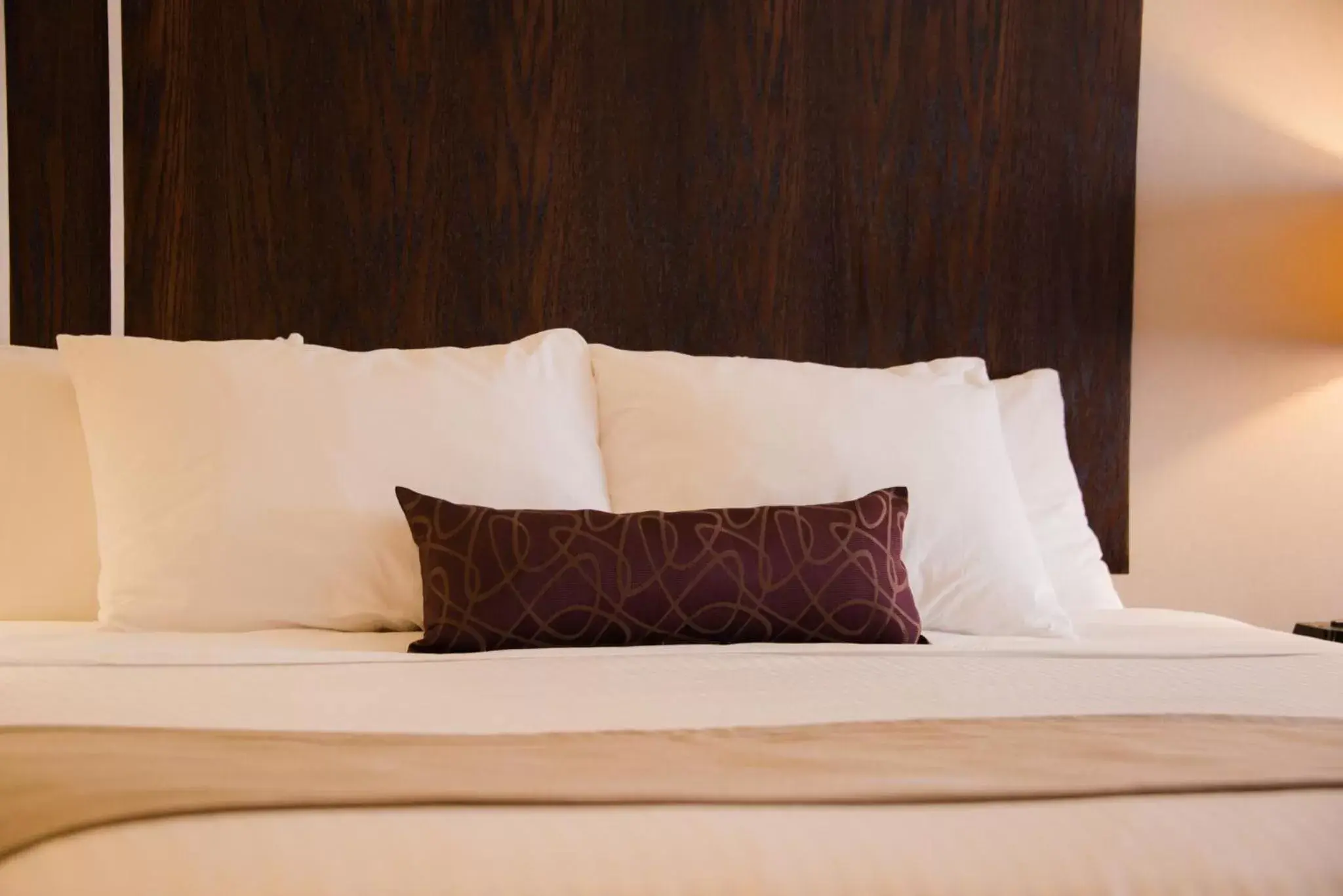 Queen Room - Accessible in Best Western Mountainview Inn Queen Room - Accessible in Best Western Mountainview Inn