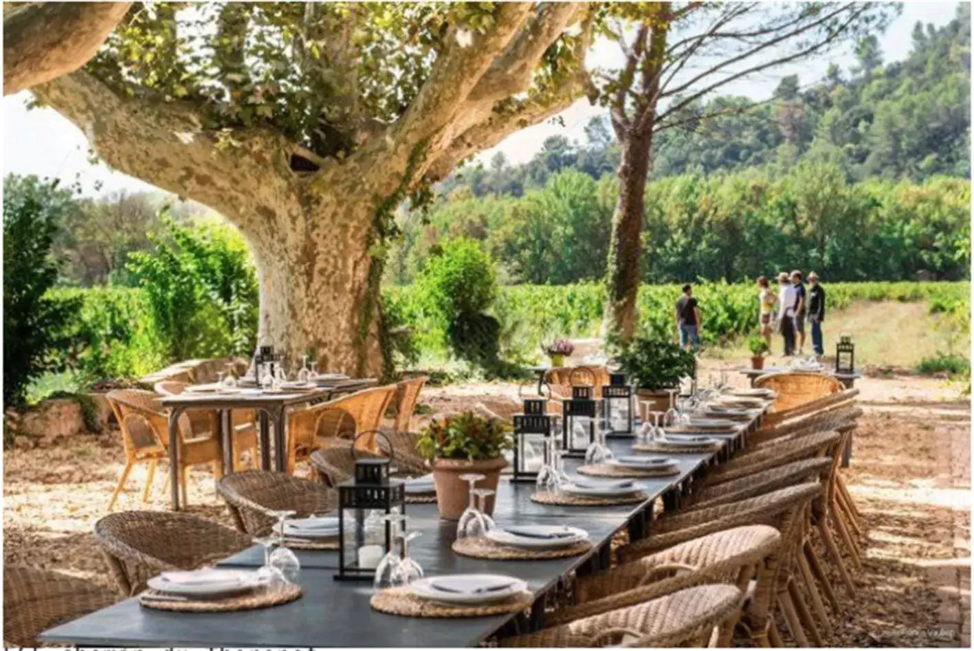 Restaurant/Places to Eat in Domaine Regis Freres Restaurant/Places to Eat in Domaine Regis Freres