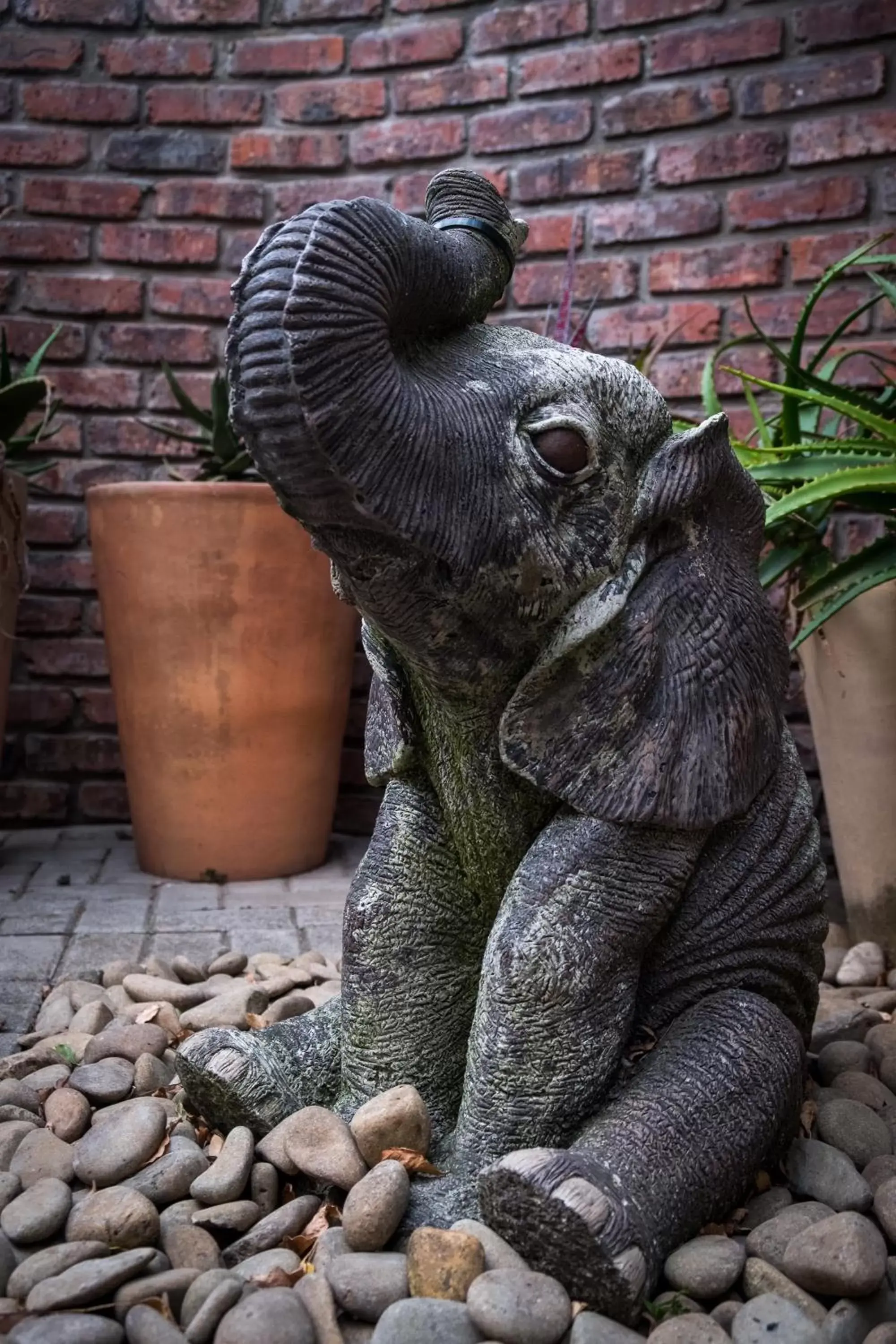 Treetops Guesthouse Treetops Guesthouse