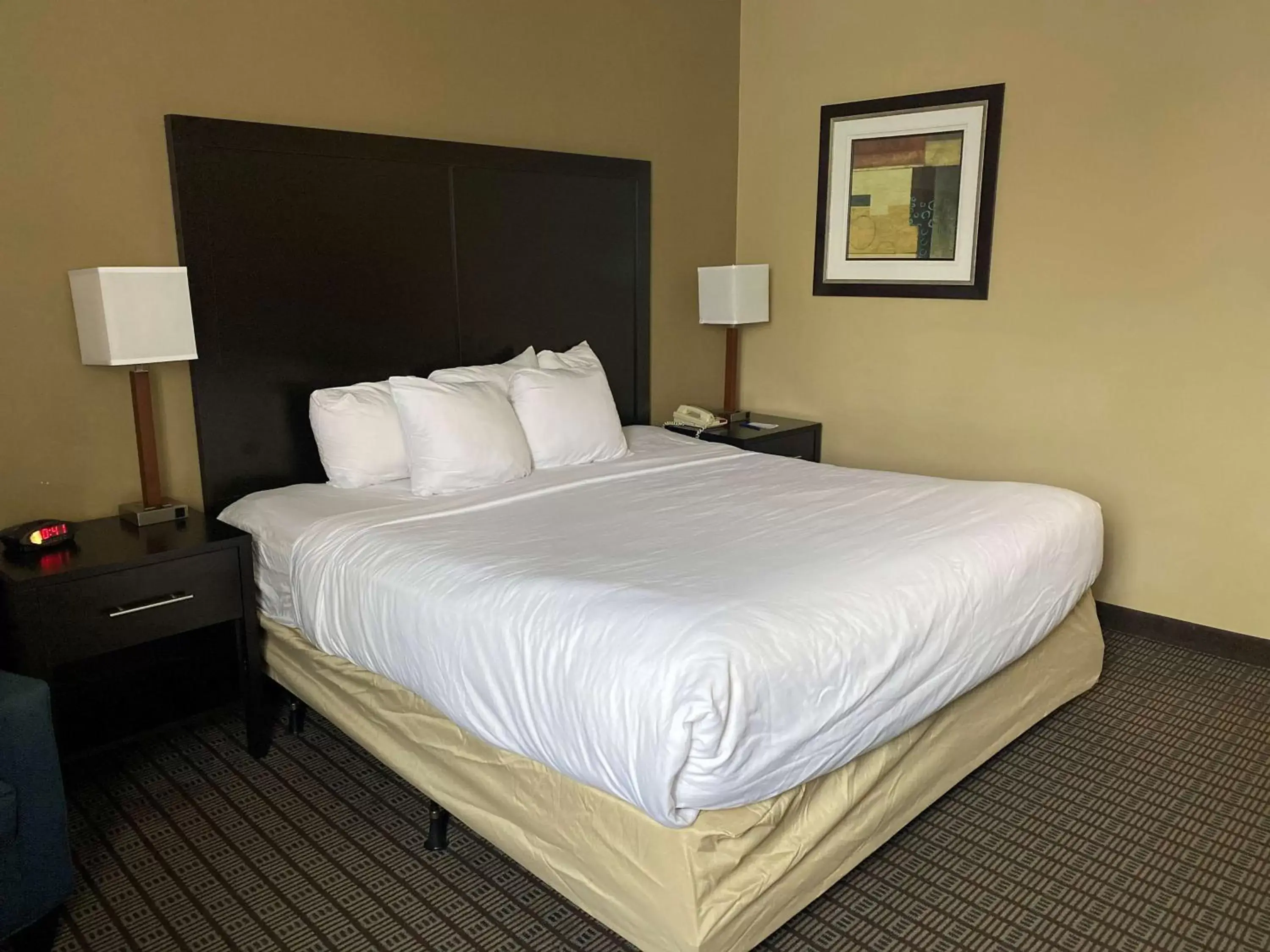 King Room in SureStay Plus by Best Western Jonestown Lebanon Valley King Room in SureStay Plus by Best Western Jonestown Lebanon Valley