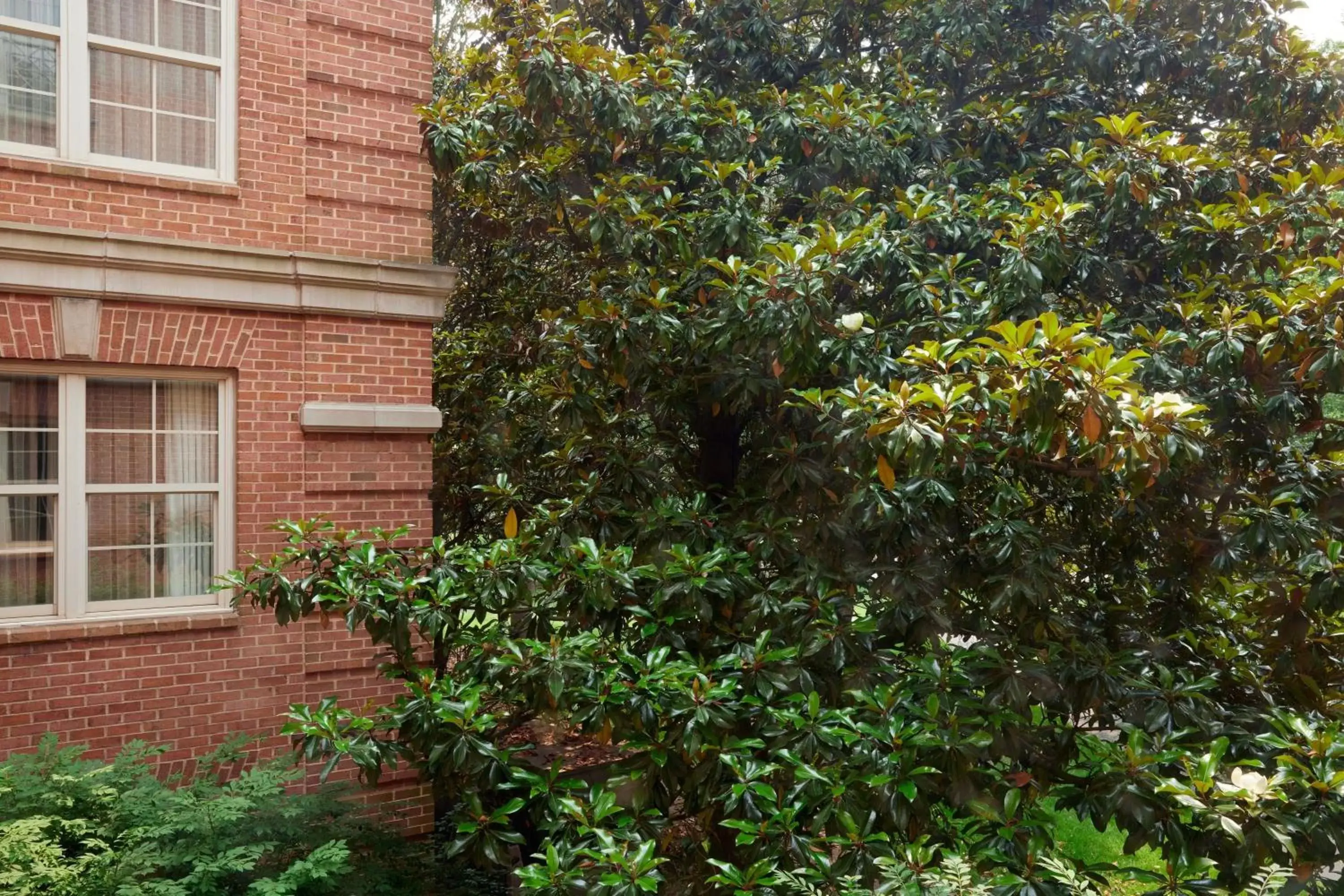 Junior King Suite with Sofa Bed in Westfields Marriott Washington Dulles Junior King Suite with Sofa Bed in Westfields Marriott Washington Dulles