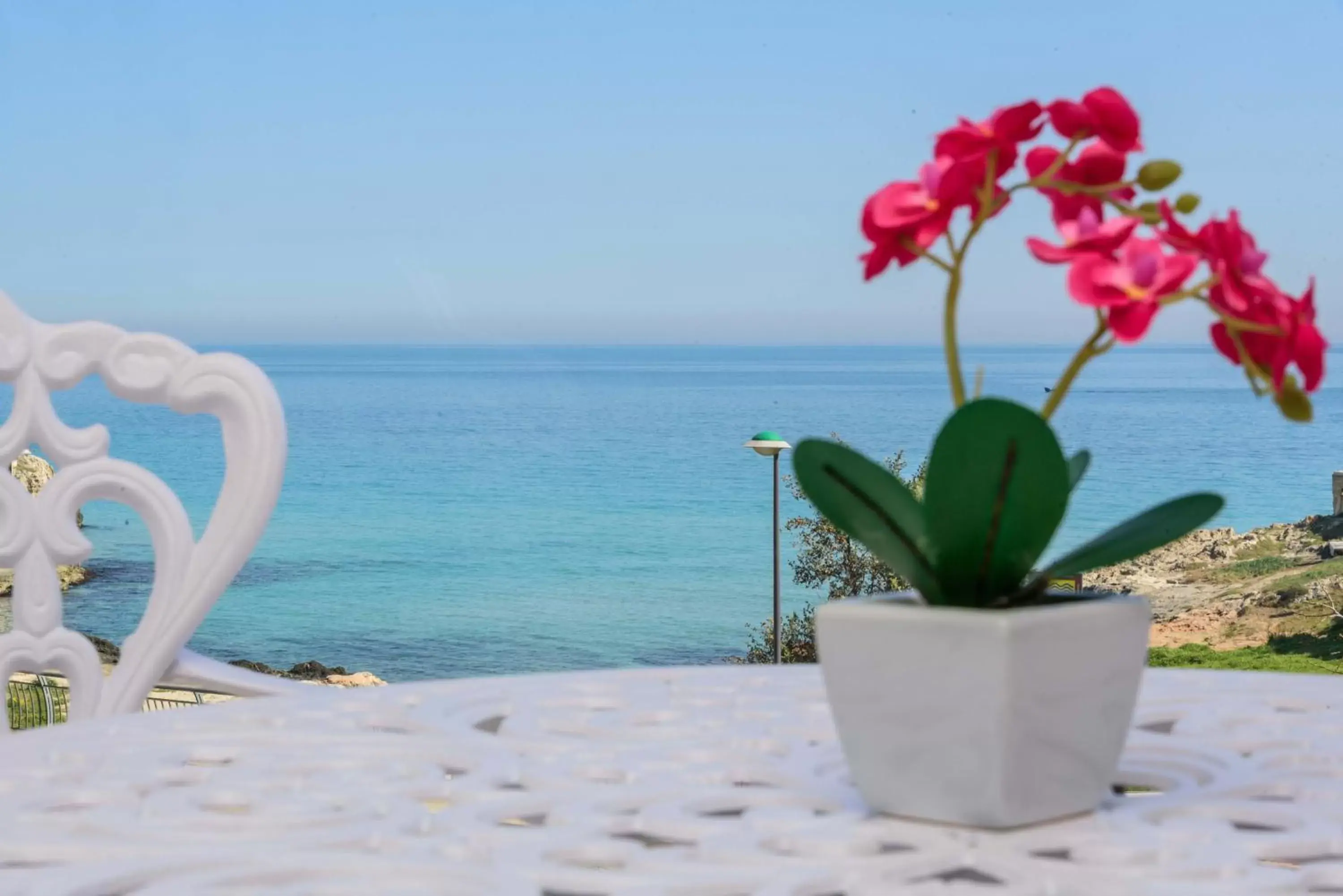 Double Room with Balcony in Bellariva Monopoli B&B e Relax Double Room with Balcony in Bellariva Monopoli B&B e Relax