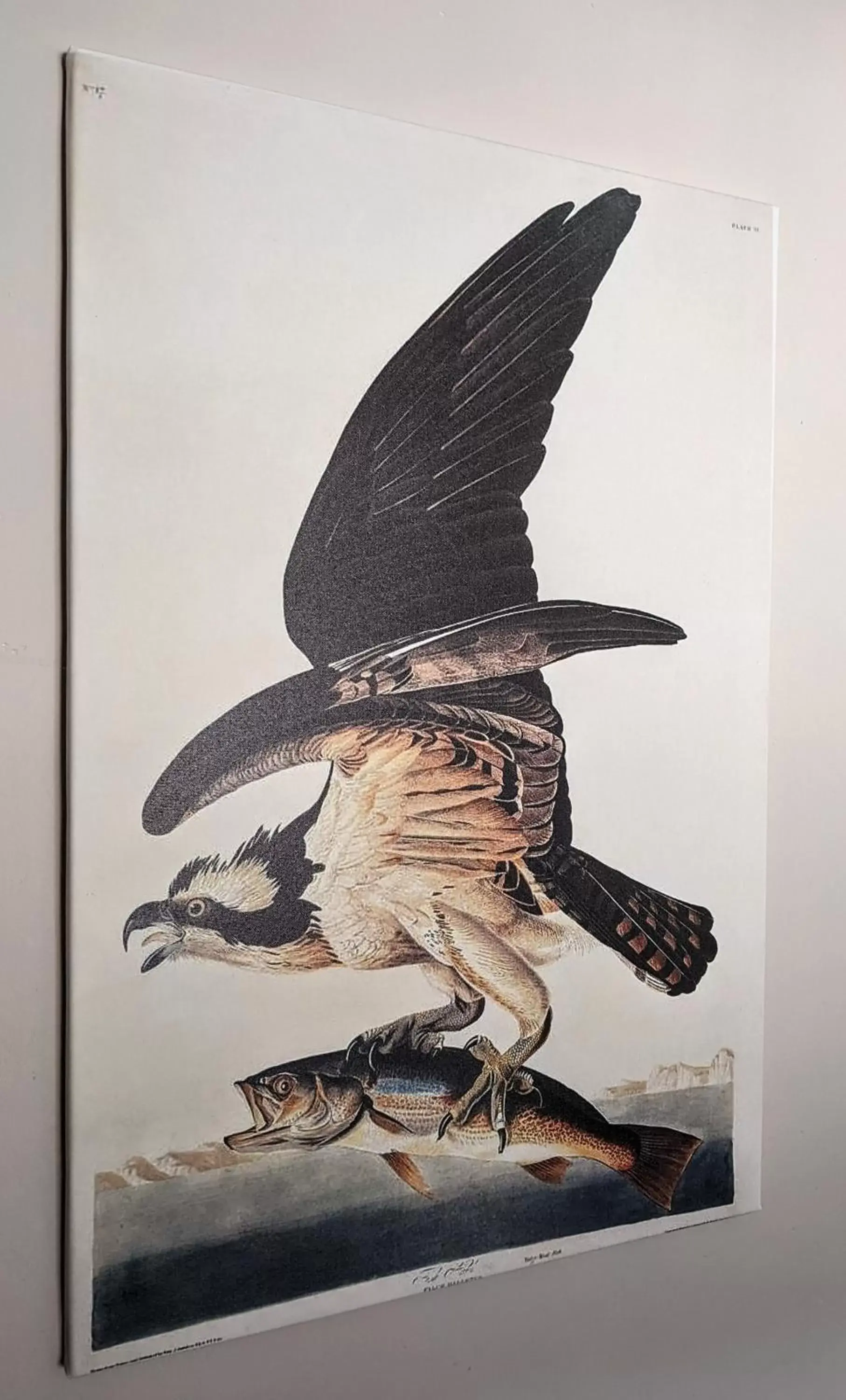 Budget Triple Room in The Boot Inn Rutland Budget Triple Room in The Boot Inn Rutland