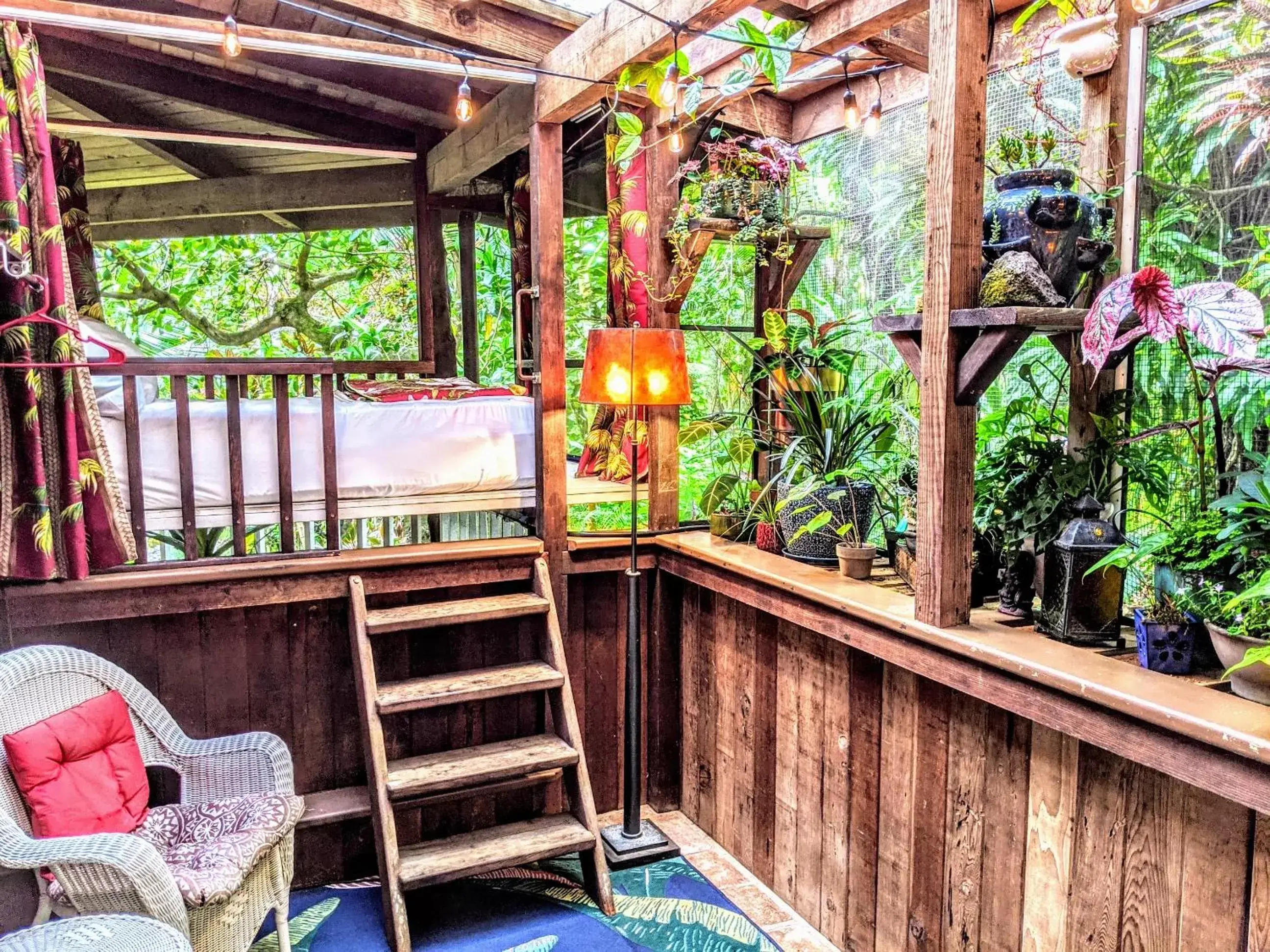 Double Room with Garden View in Kehena Mauka Nui Club LGBTQIA+ Clothing Optional Double Room with Garden View in Kehena Mauka Nui Club LGBTQIA+ Clothing Optional