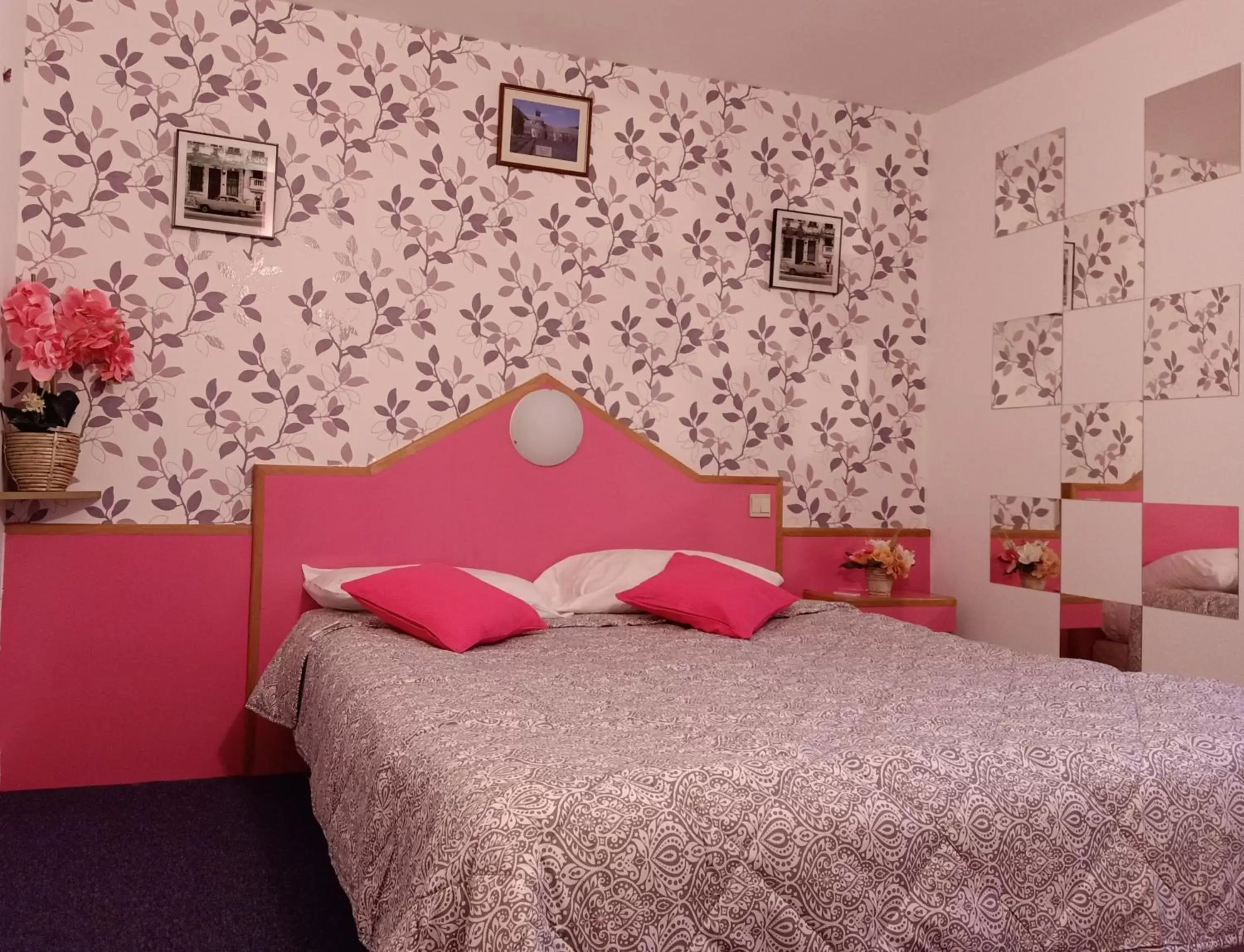 Double Room with Private Bathroom in Astrotel Romorantin-Lanthenay Double Room with Private Bathroom in Astrotel Romorantin-Lanthenay