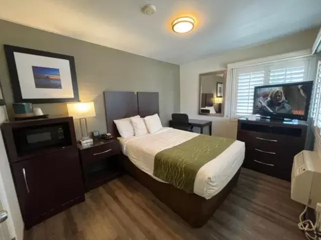 Standard Room - Non-Smoking in Hi View Inn & Suites Standard Room - Non-Smoking in Hi View Inn & Suites