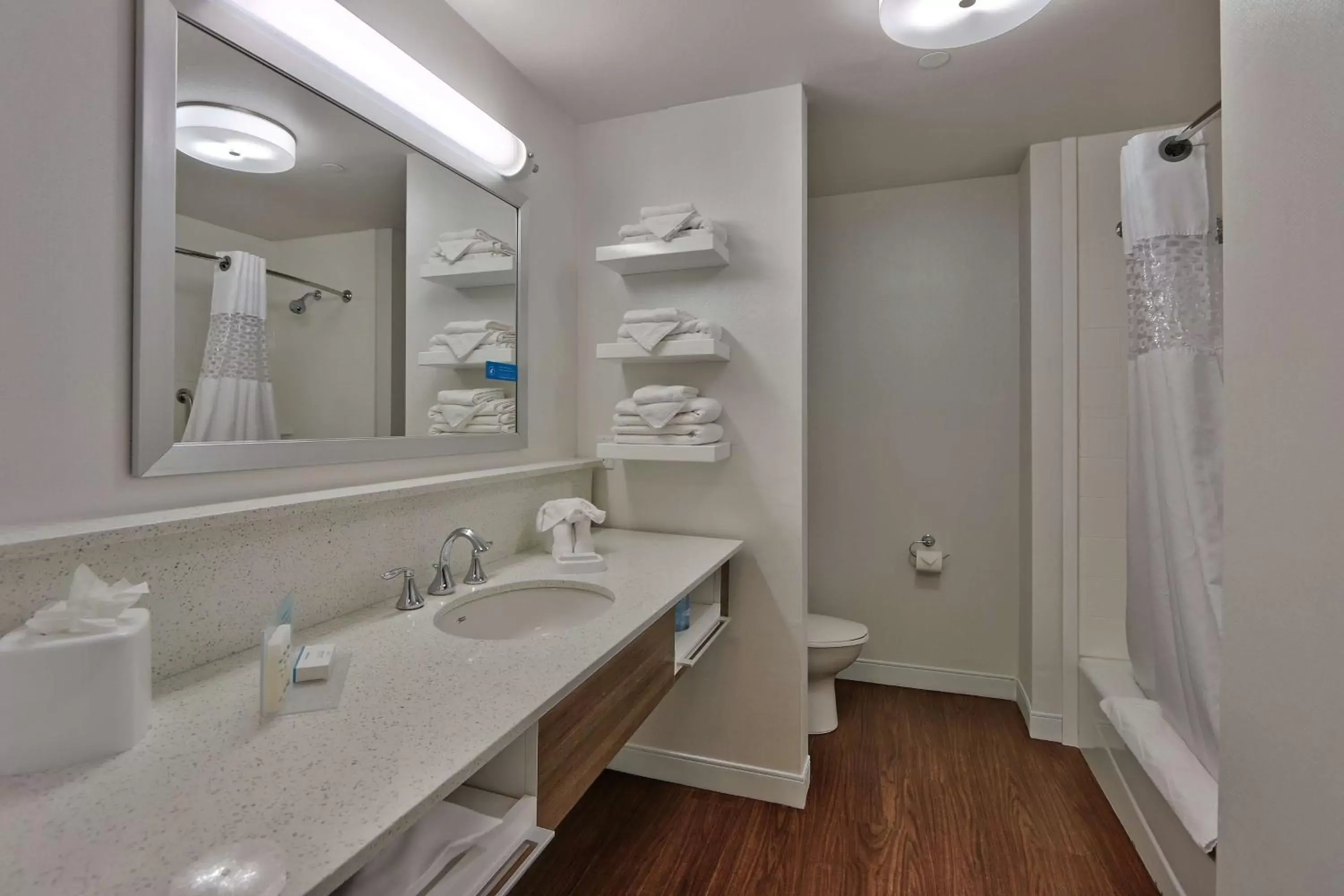 King Room with Sofa Bed - Non-Smoking in Hampton Inn & Suites Las Cruces I-10, Nm King Room with Sofa Bed - Non-Smoking in Hampton Inn & Suites Las Cruces I-10, Nm