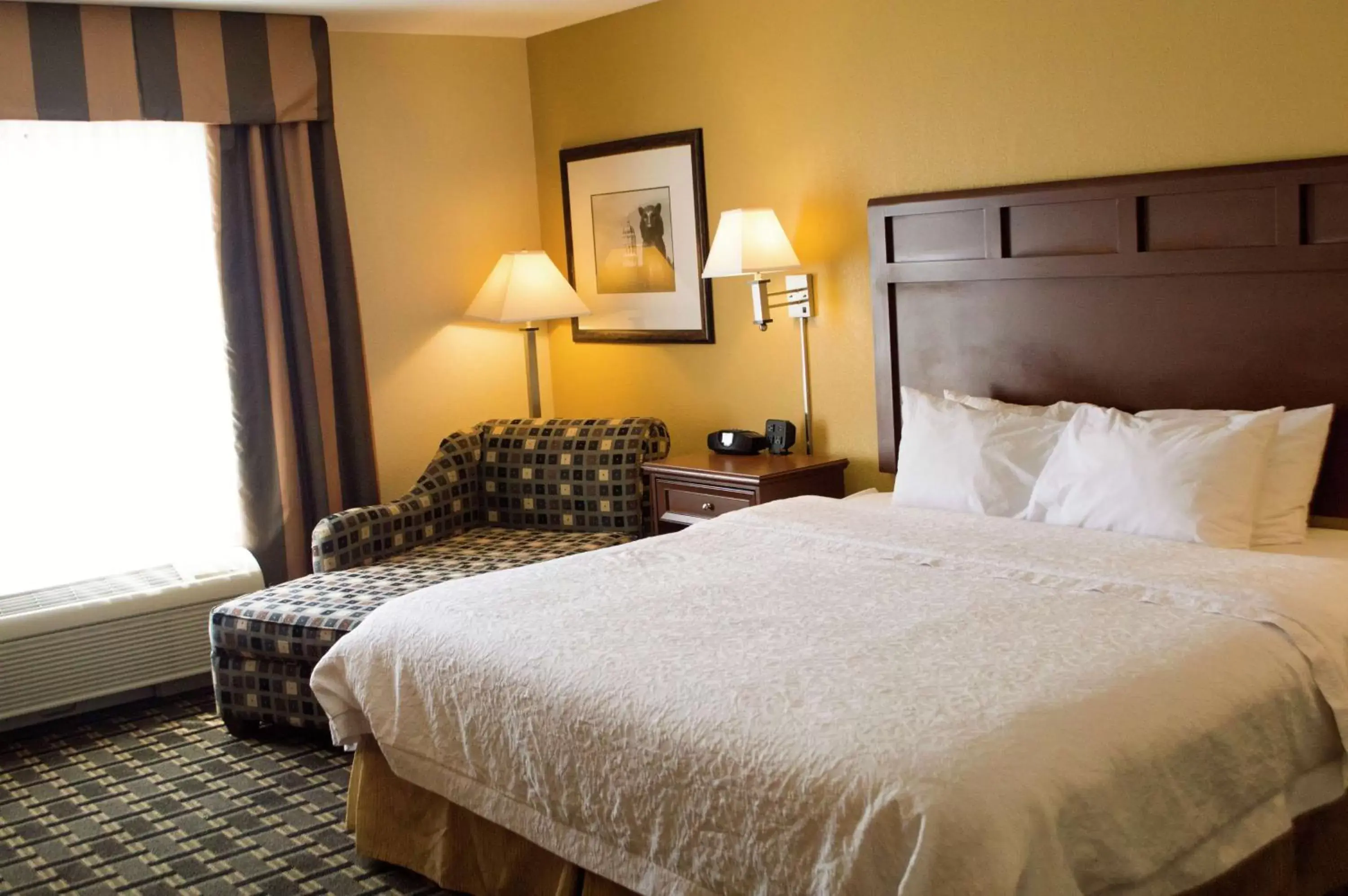 King Room - Disability Access with Tub/Non-Smoking in Hampton Inn & Suites Columbia at the University of Missouri King Room - Disability Access with Tub/Non-Smoking in Hampton Inn & Suites Columbia at the University of Missouri