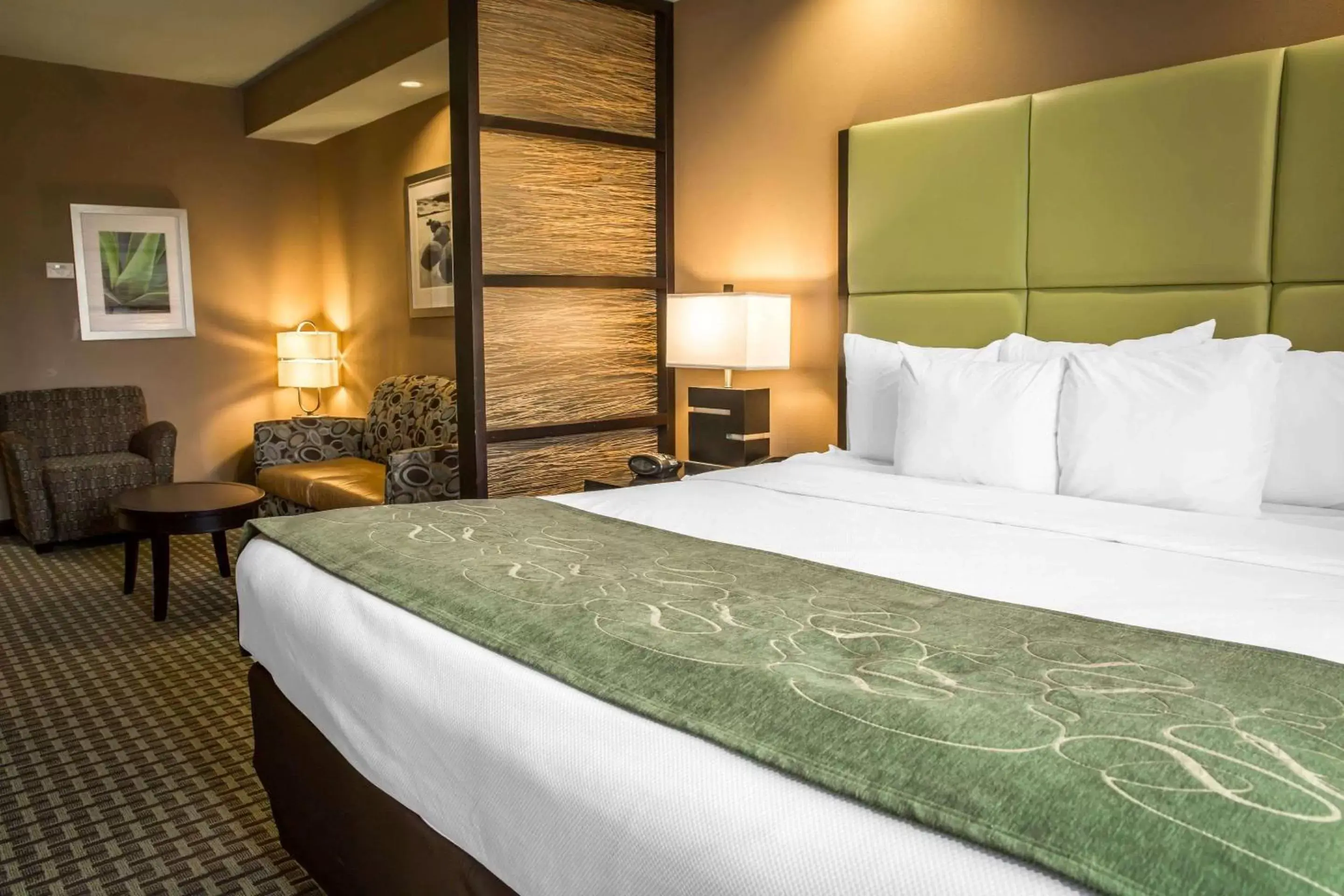 King Suite - Non-Smoking in Comfort Suites New Bern near Cherry Point King Suite - Non-Smoking in Comfort Suites New Bern near Cherry Point