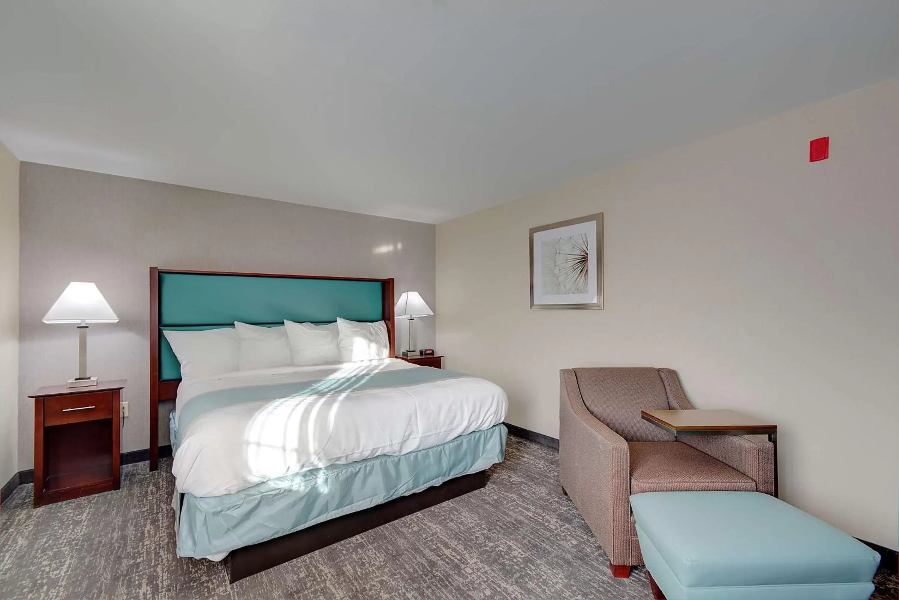 One-Bedroom King Suite with Sofa Bed in Best Western Hampshire Inn & Suites One-Bedroom King Suite with Sofa Bed in Best Western Hampshire Inn & Suites