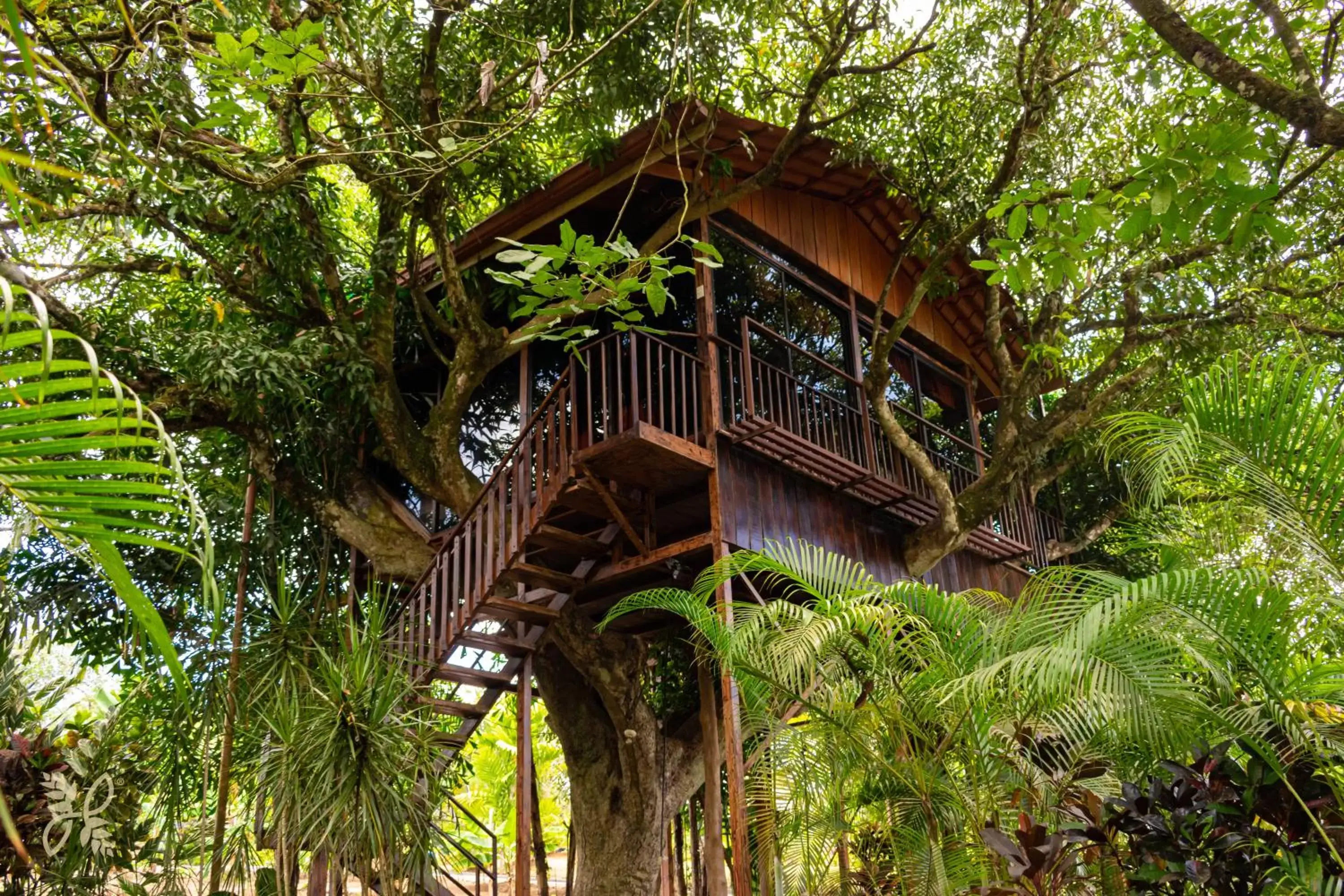 Deluxe Treehouse with Bathtub in Hotel Heliconias Nature Inn & Hot Springs Deluxe Treehouse with Bathtub in Hotel Heliconias Nature Inn & Hot Springs