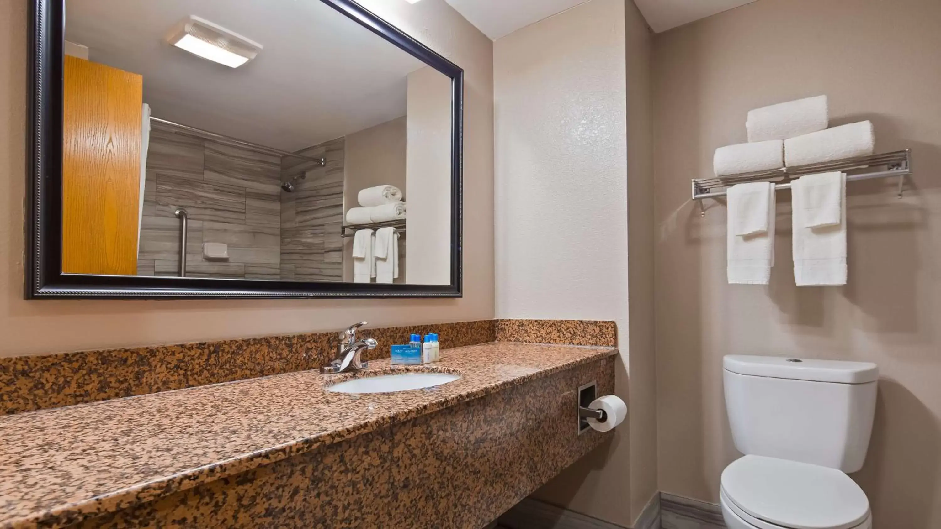 King Room with Roll-in Shower - Non-Smoking/Disability Access in Best Western Inn Florence King Room with Roll-in Shower - Non-Smoking/Disability Access in Best Western Inn Florence