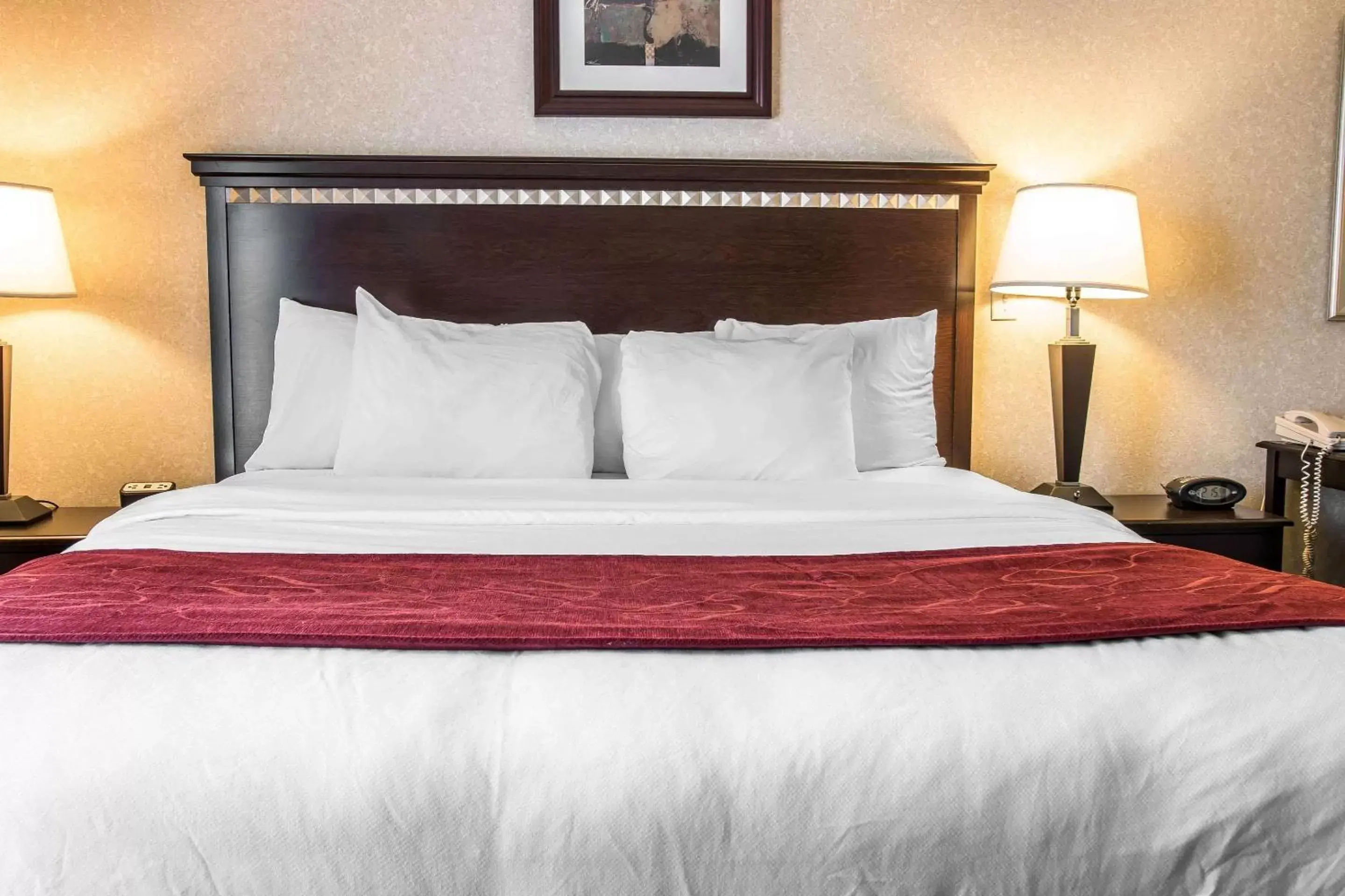 Efficiency King Suite with Fireplace- Non-Smoking in Comfort Suites Canton - Detroit Efficiency King Suite with Fireplace- Non-Smoking in Comfort Suites Canton - Detroit