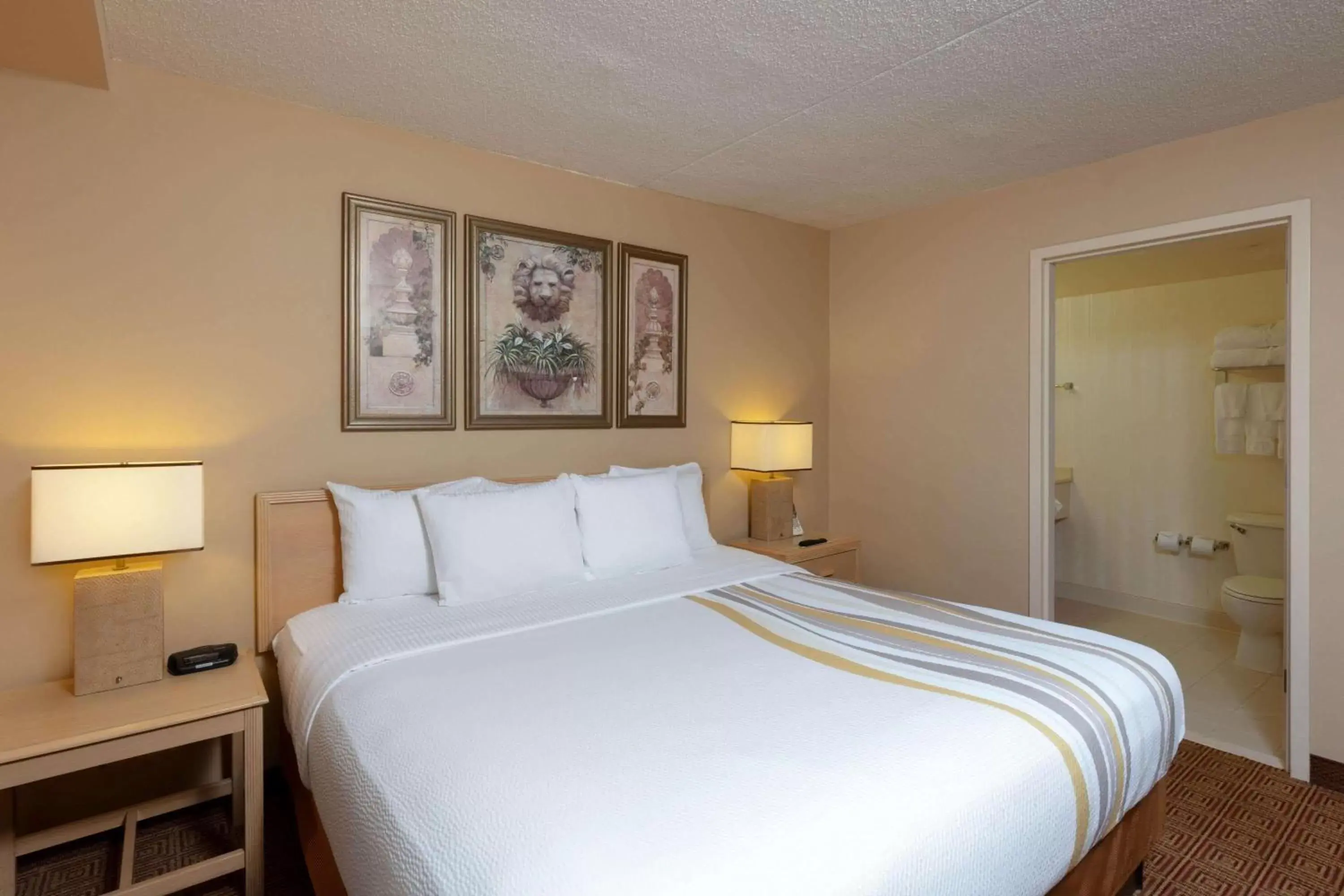 King Room - Non-Smoking in La Quinta by Wyndham Garden City King Room - Non-Smoking in La Quinta by Wyndham Garden City