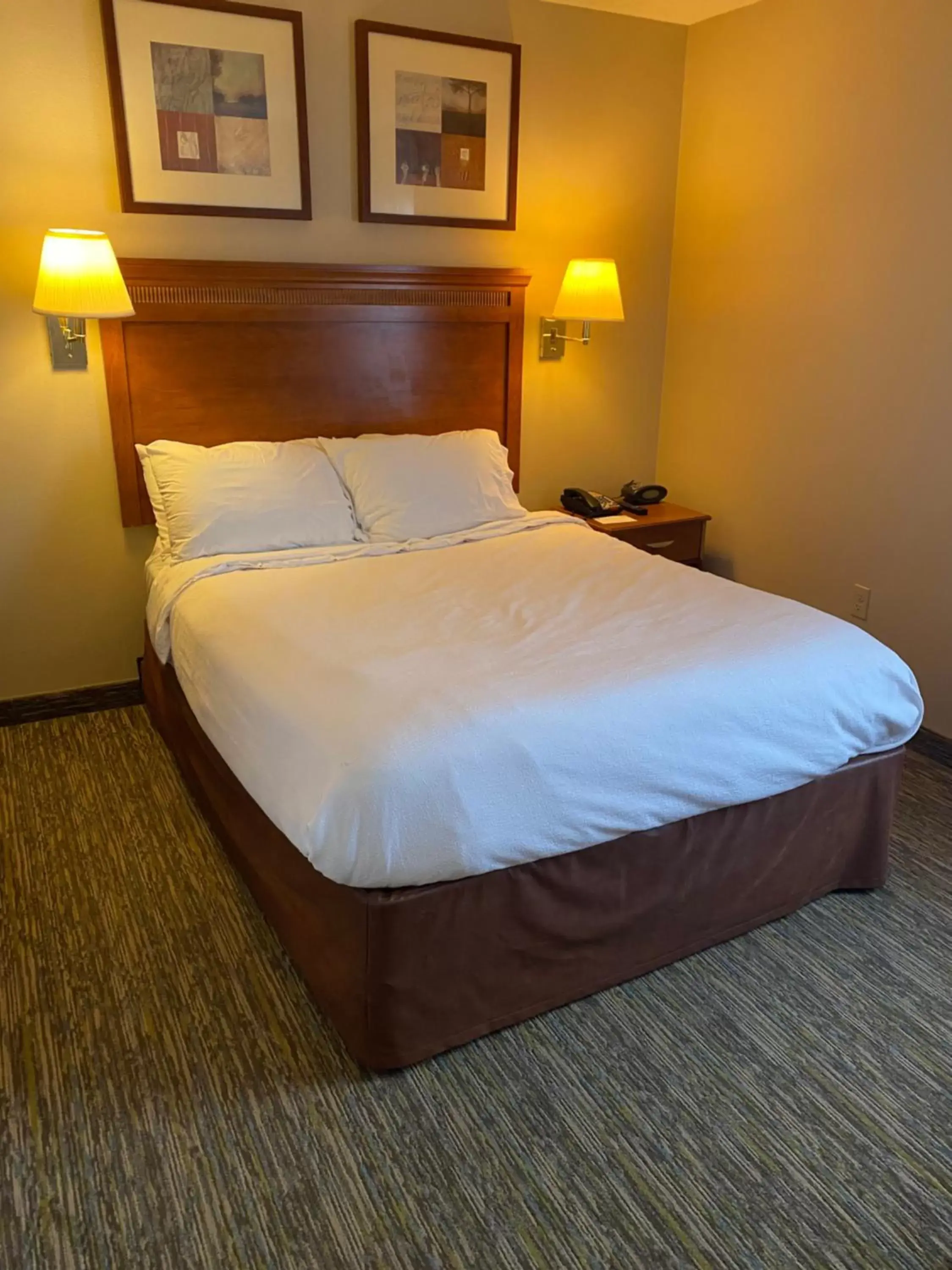 Studio Suite in Candlewood Williamsport by IHG Studio Suite in Candlewood Williamsport by IHG
