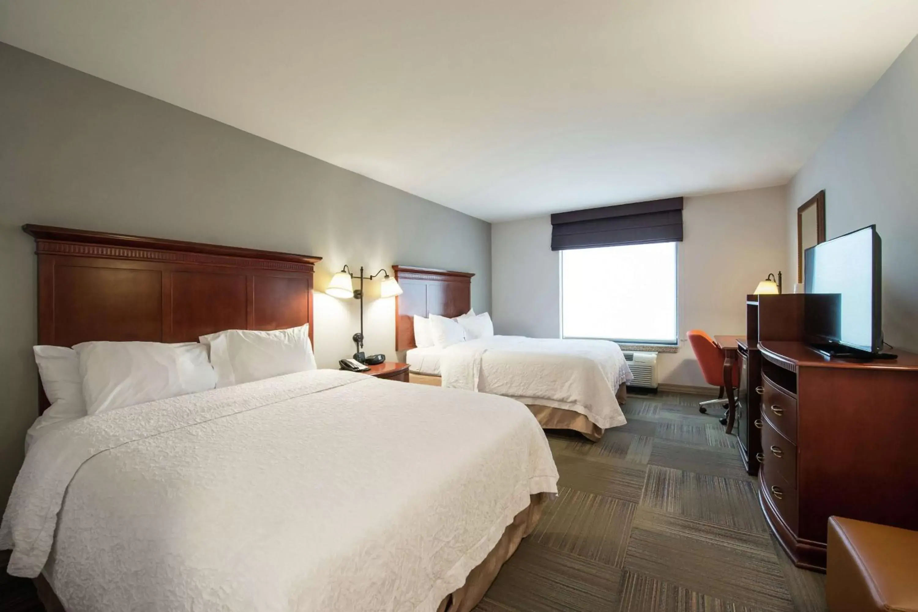 Room with Two Queen Beds - Non-Smoking in Hampton Inn & Suites Rifle Room with Two Queen Beds - Non-Smoking in Hampton Inn & Suites Rifle