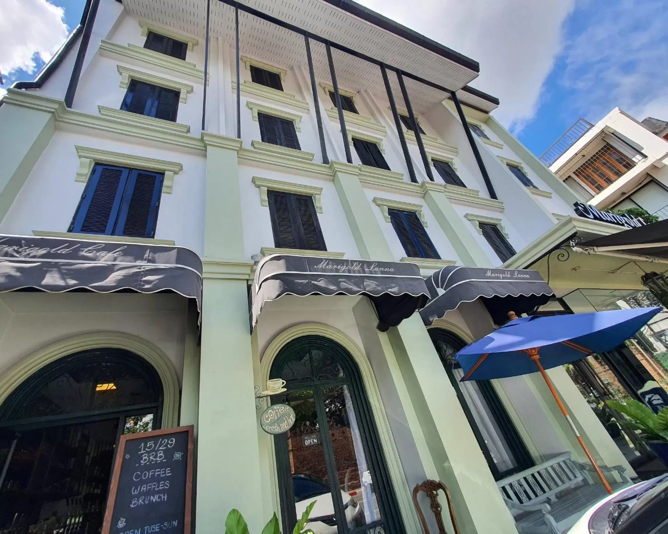 Marigold Lanna Marigold Lanna