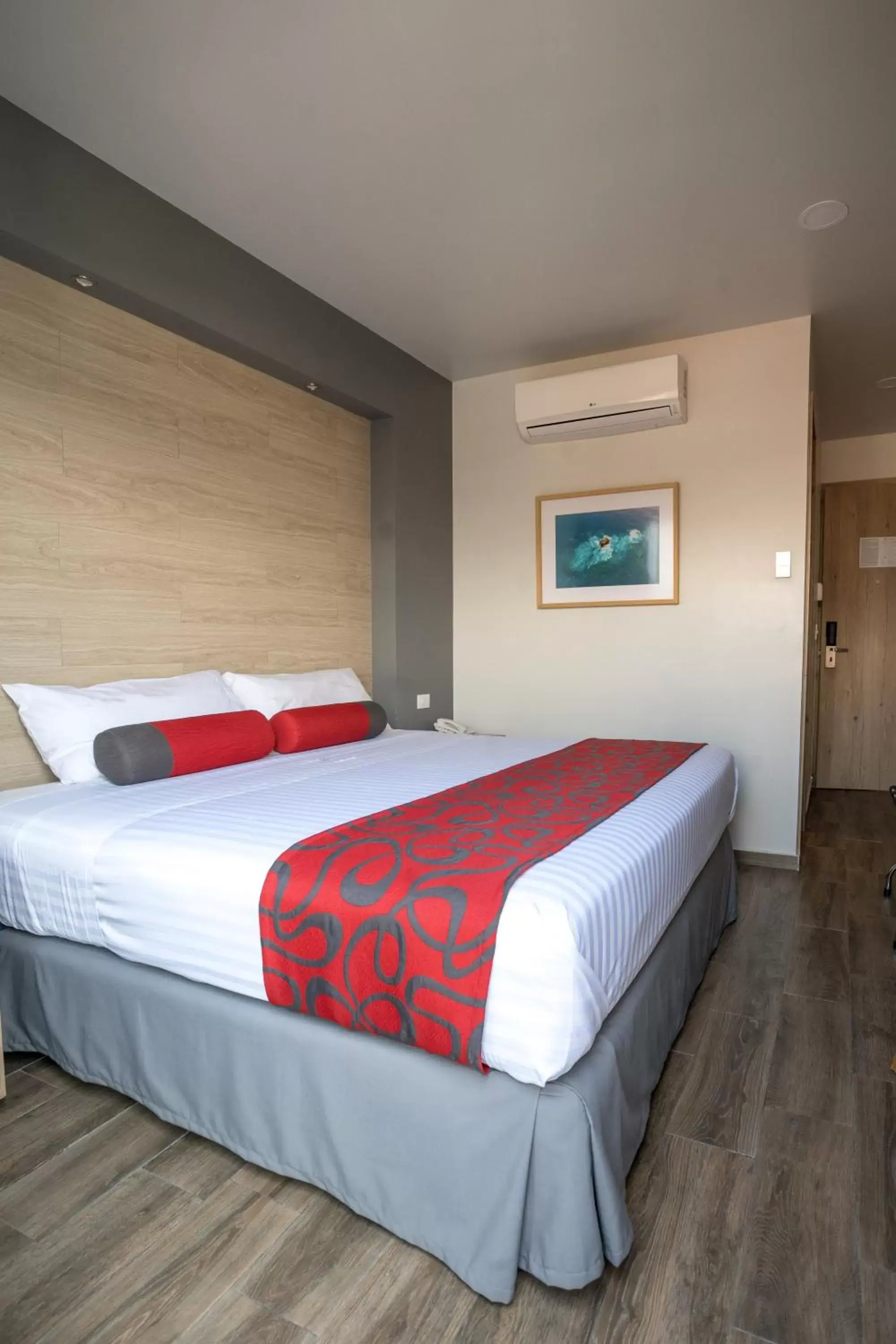 King Room - single occupancy in Hotel Roble King Room - single occupancy in Hotel Roble