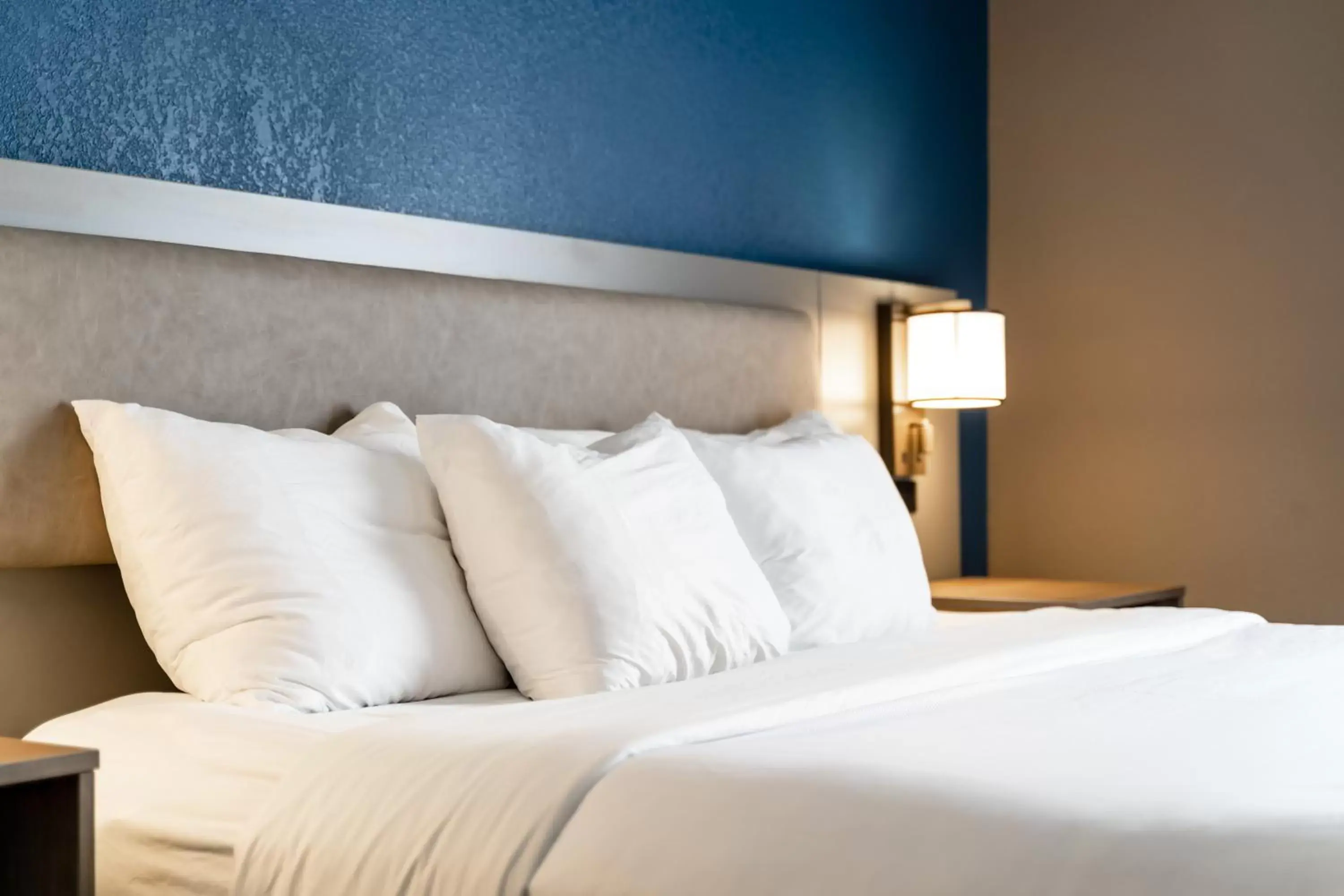 King Suite with Roll-In Shower - Accessible/Non-Smoking in Comfort Suites Columbia Northeast - Fort Jackson King Suite with Roll-In Shower - Accessible/Non-Smoking in Comfort Suites Columbia Northeast - Fort Jackson