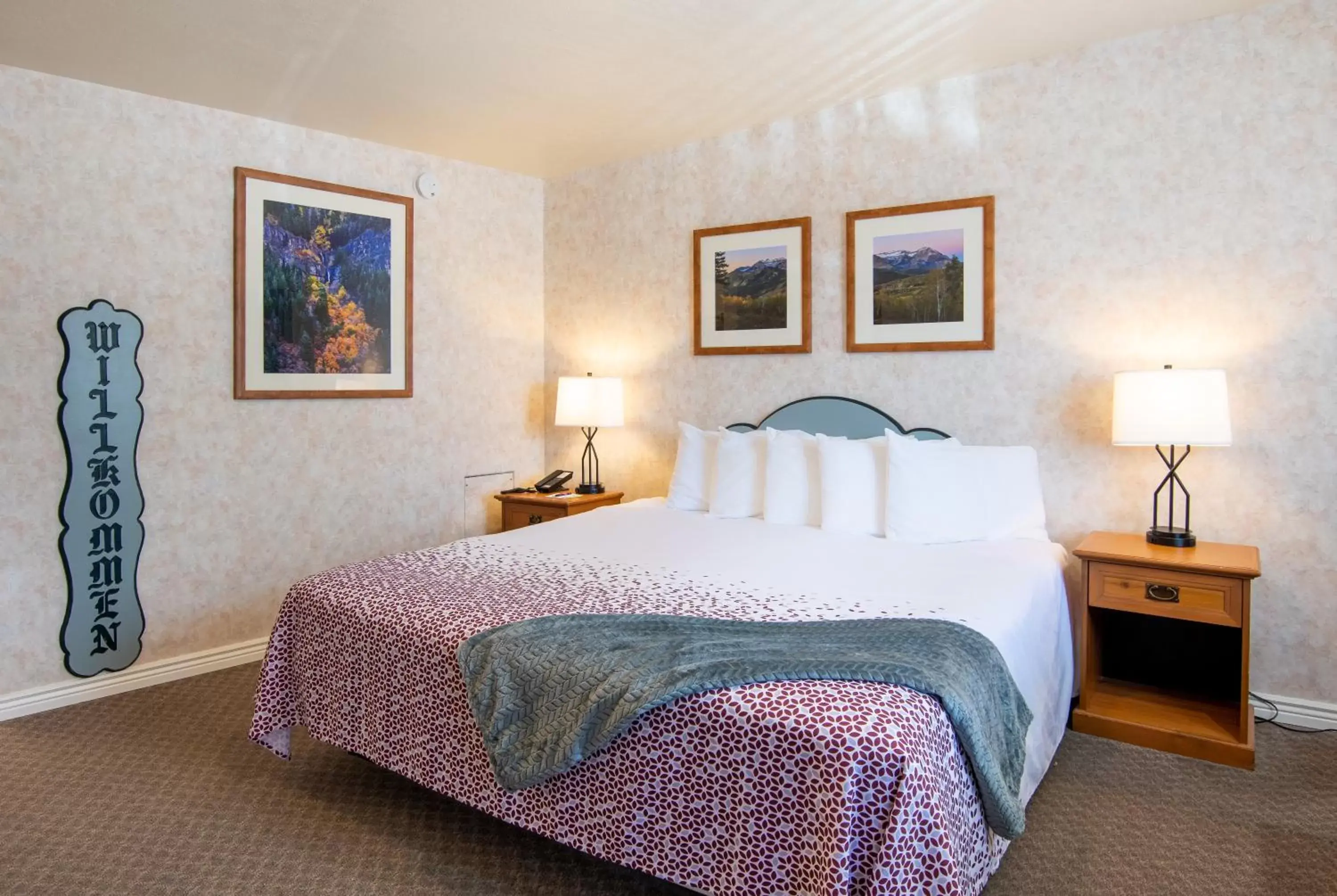 Single King Room - single occupancy in Swiss Alps Inn Single King Room - single occupancy in Swiss Alps Inn
