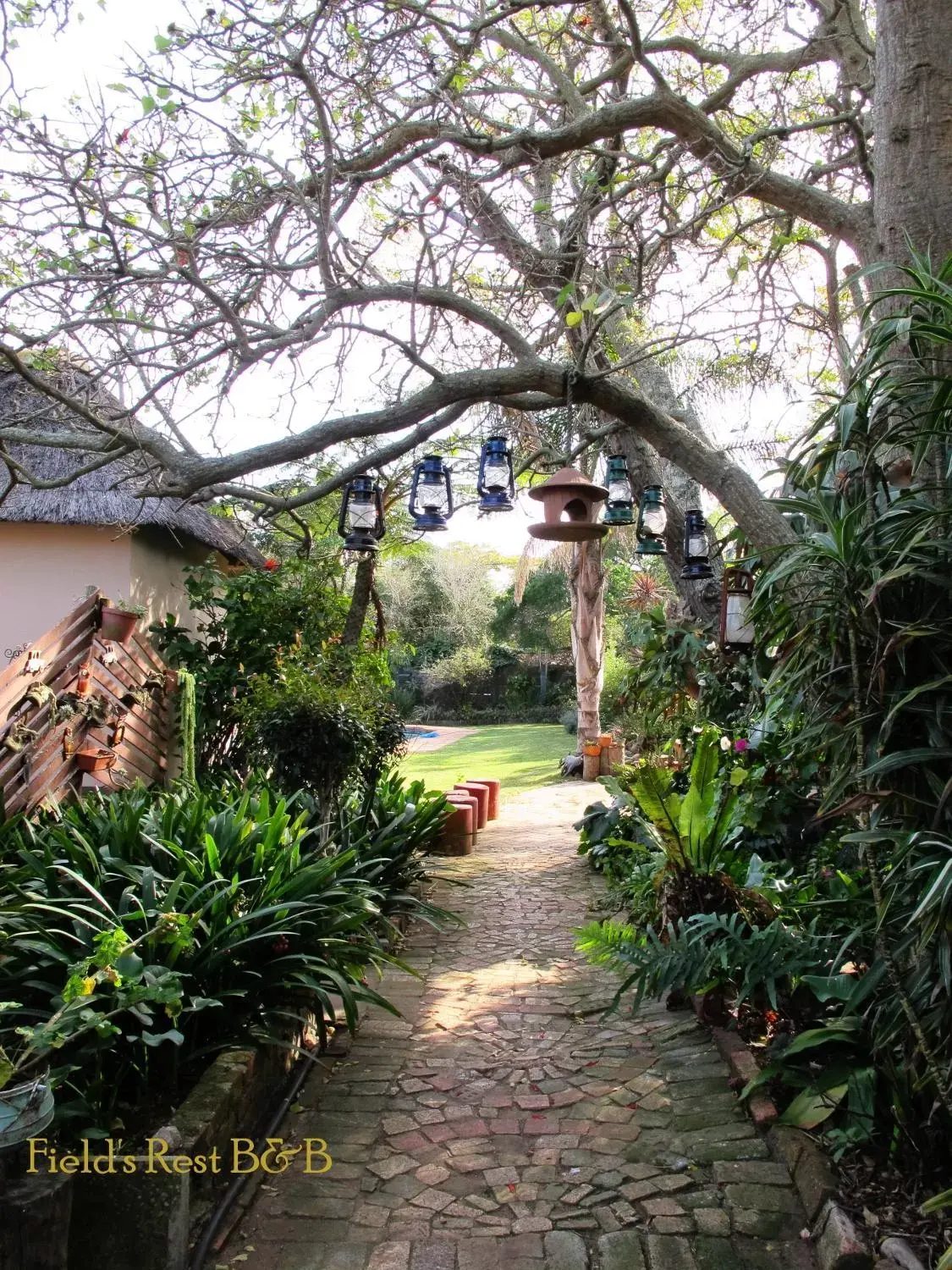 Field's Rest Field's Rest